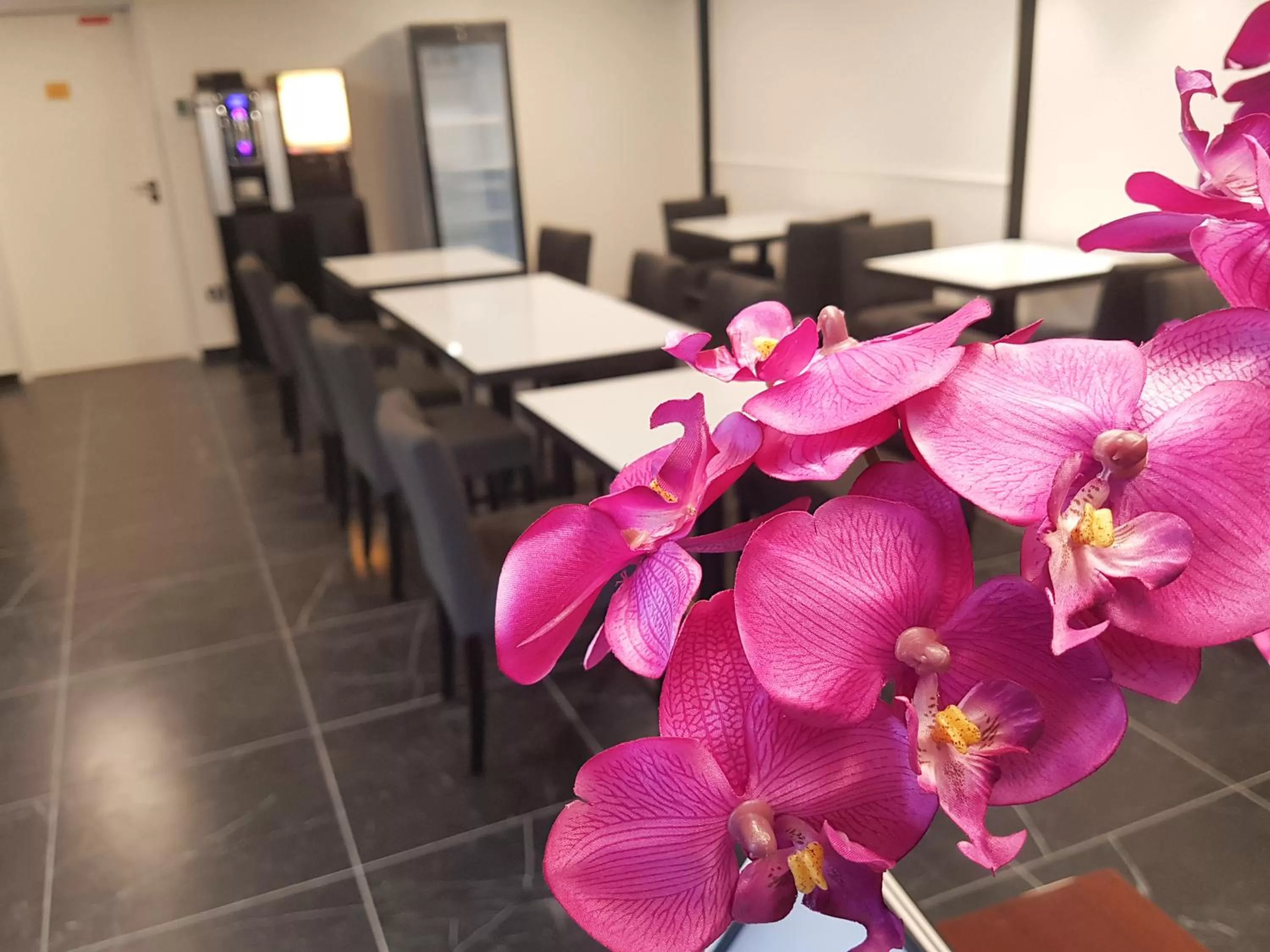 Best Western Hôtel Journel Paris Sud