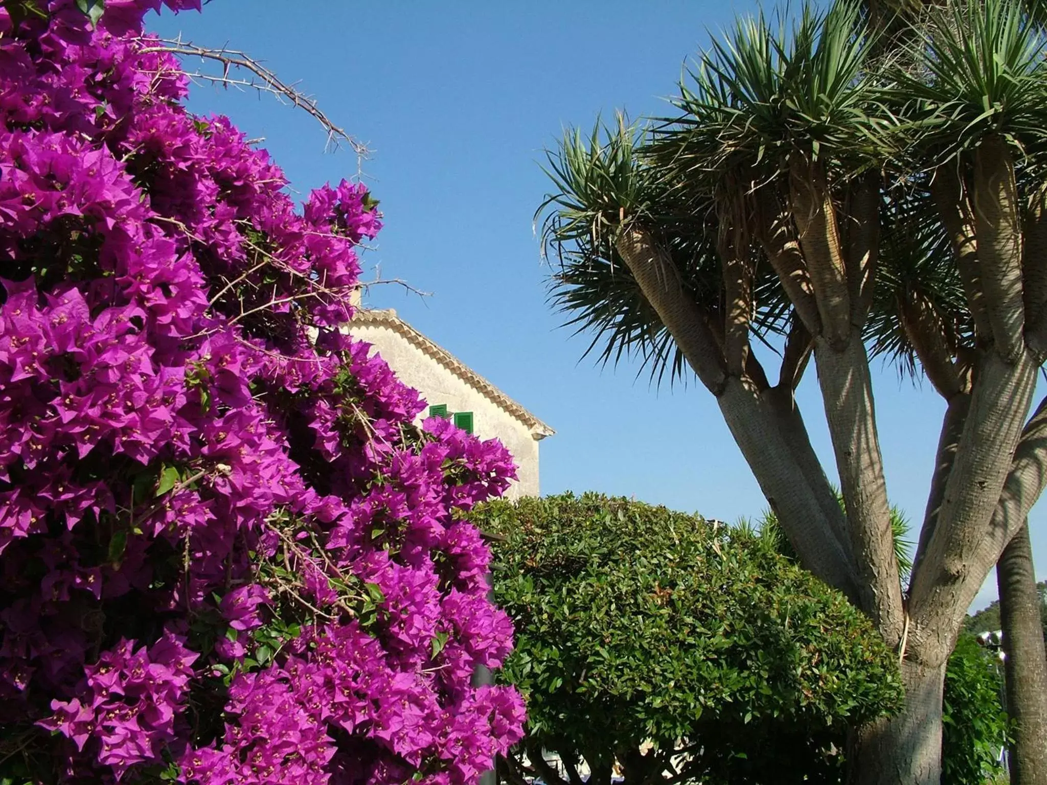 Garden, Property Building in Monnàber Vell