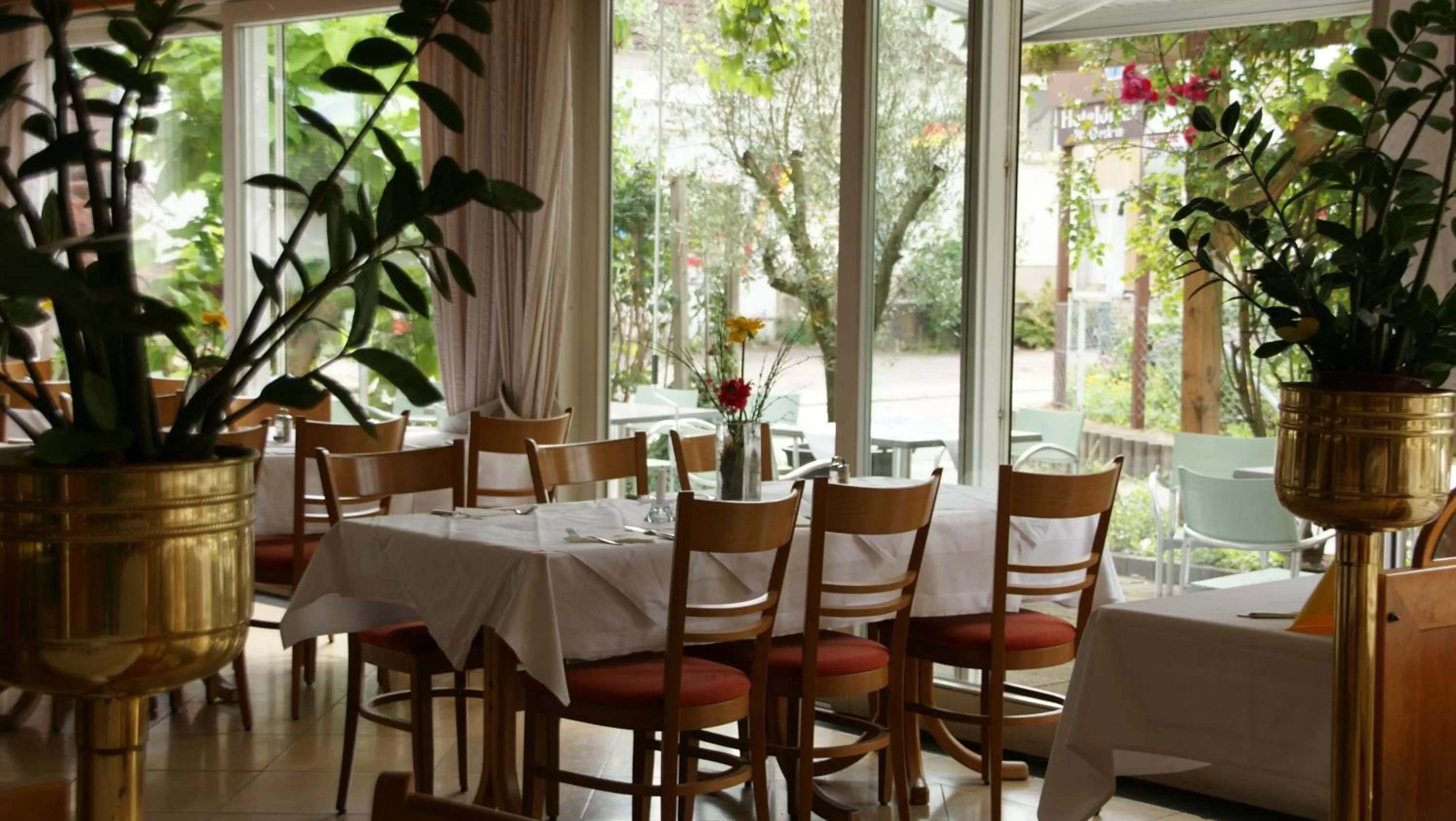 Restaurant/places to eat in Hotel Engel