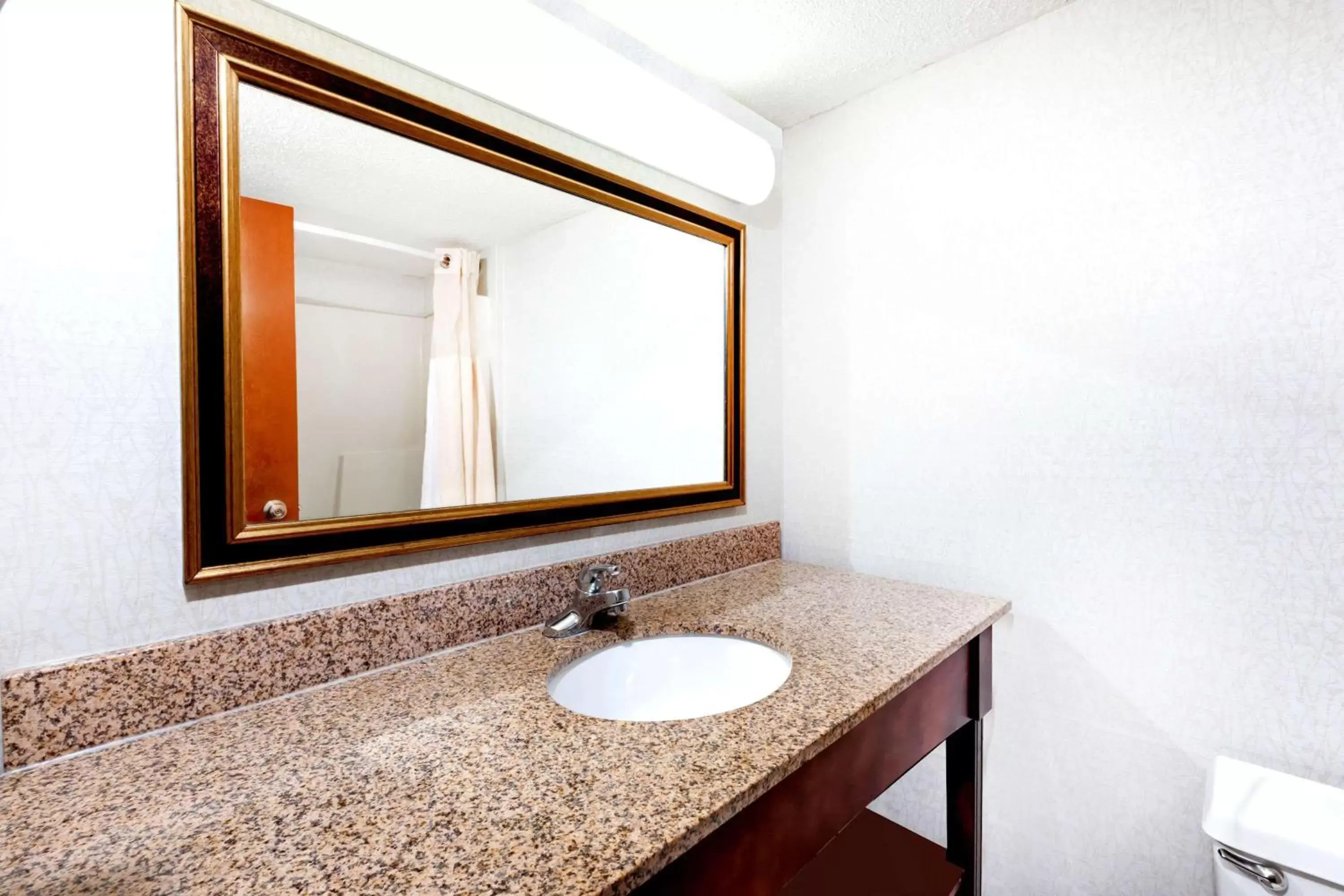 Bathroom in Ramada by Wyndham Lansing Hotel & Conference Center