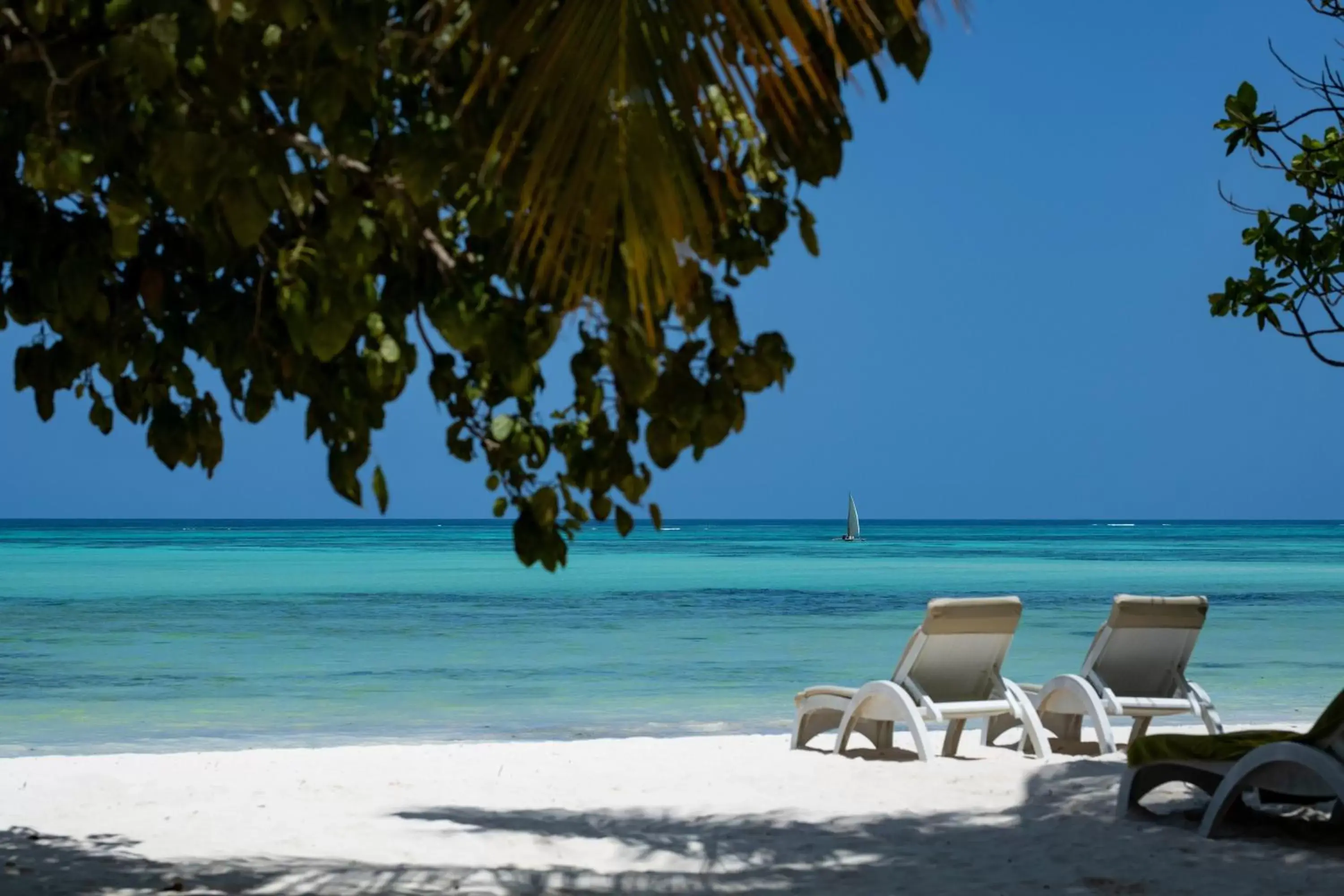 Beach in Melia Zanzibar