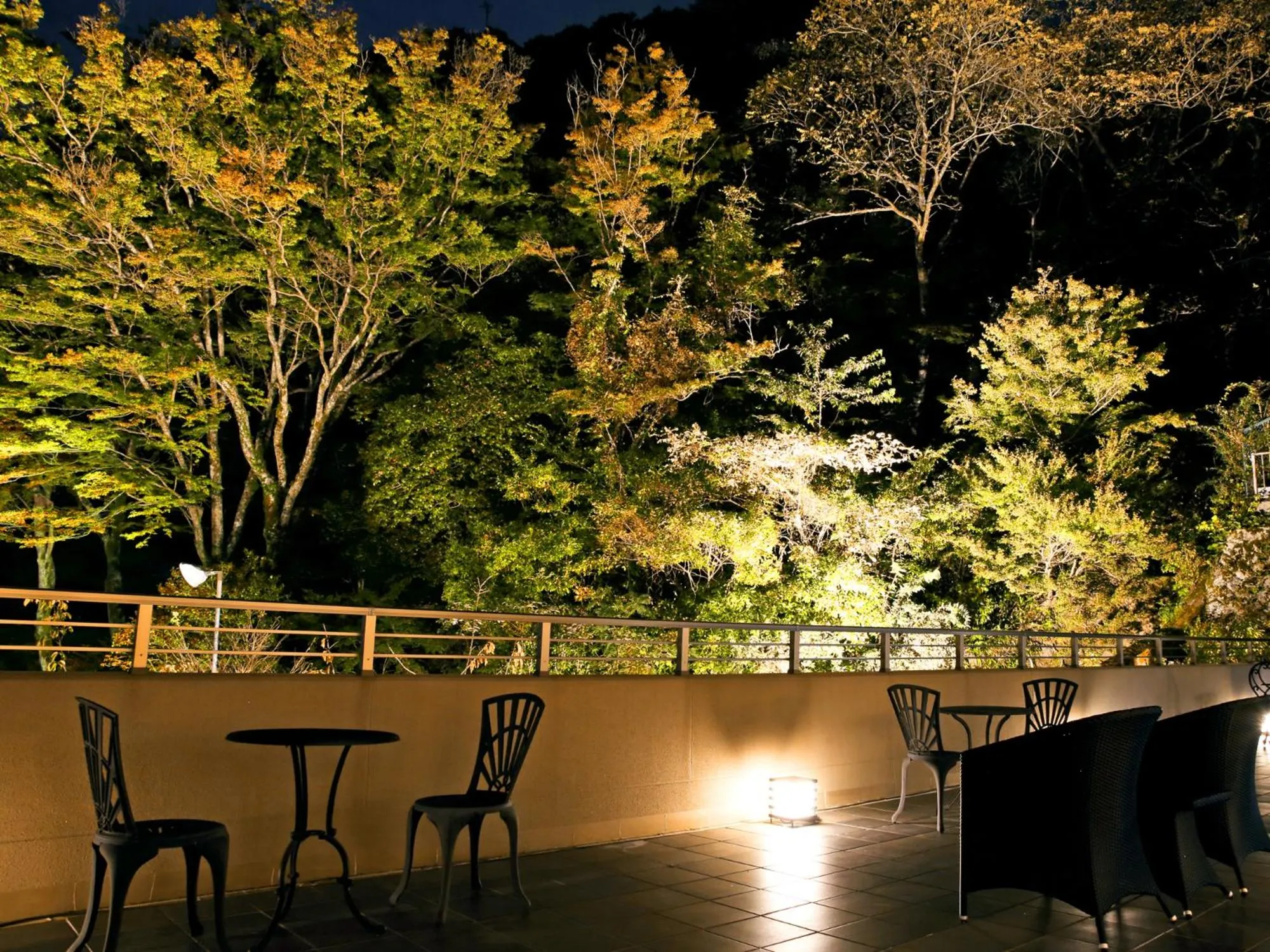 Night in Okuno Hosomichi