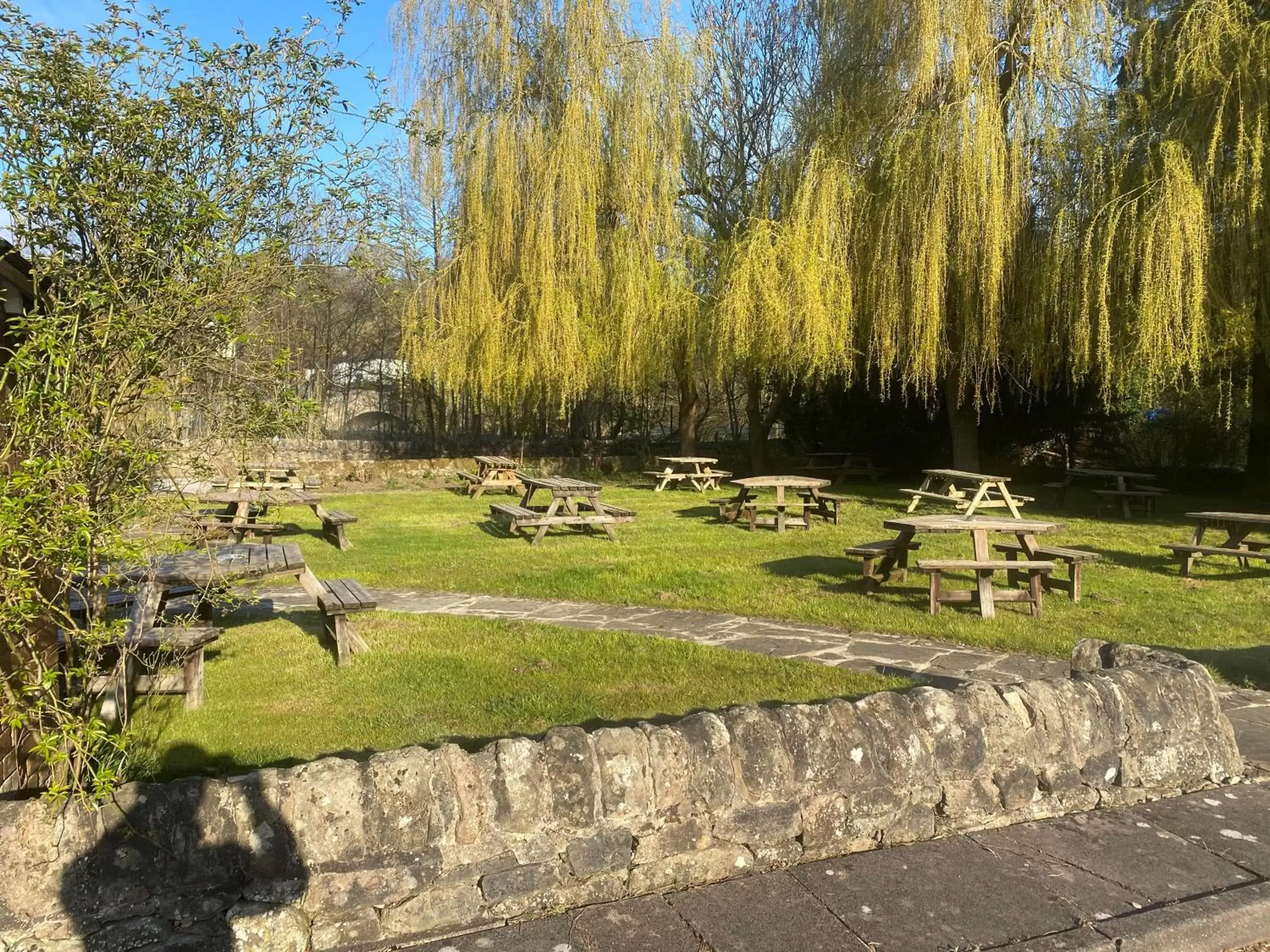 Garden in The Royal Oak