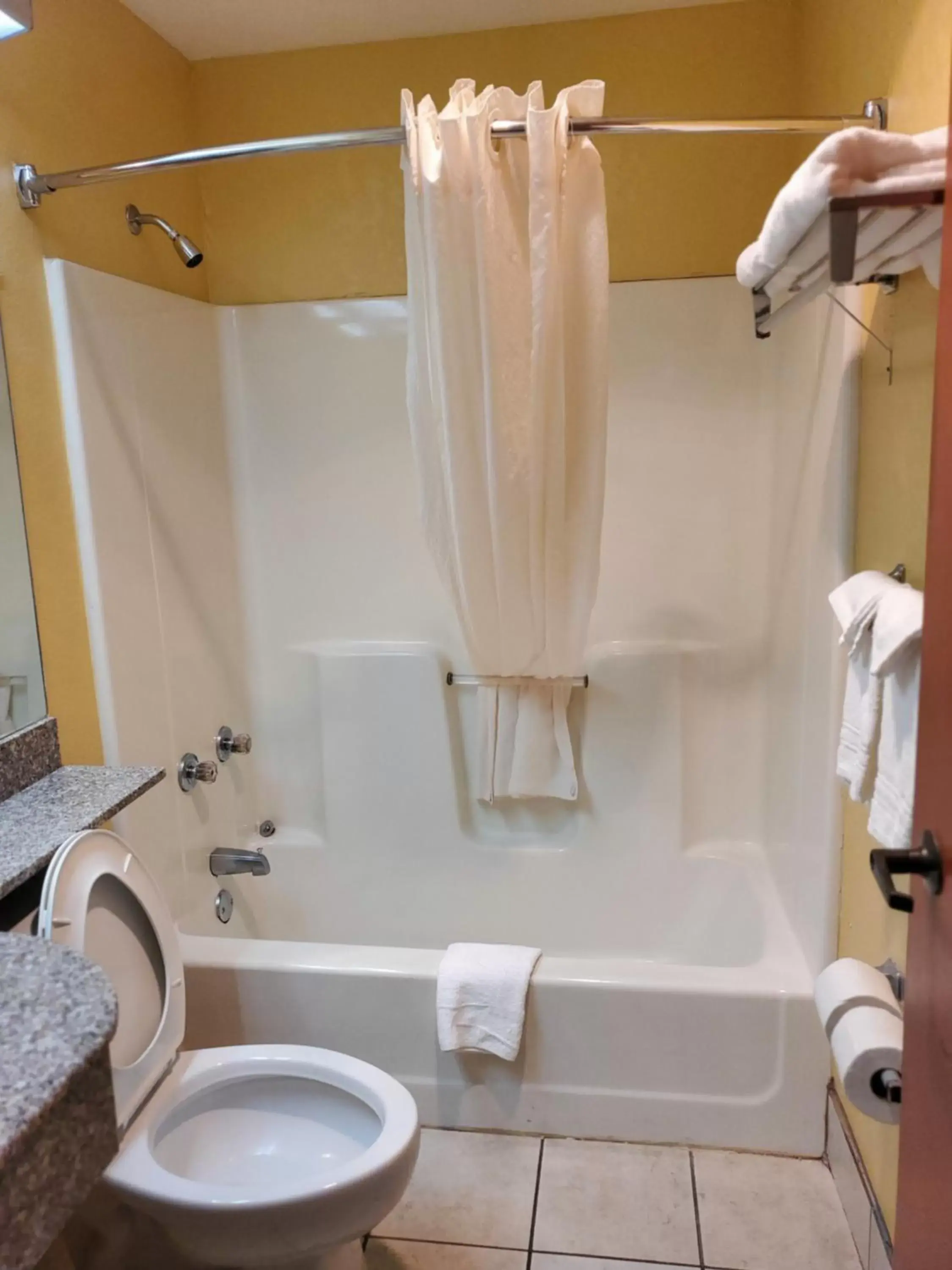Bathroom in Microtel Inn & Suites by Wyndham Gatlinburg