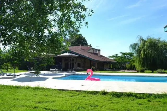 Summer, Swimming Pool in Les Terrasses des Mimosas