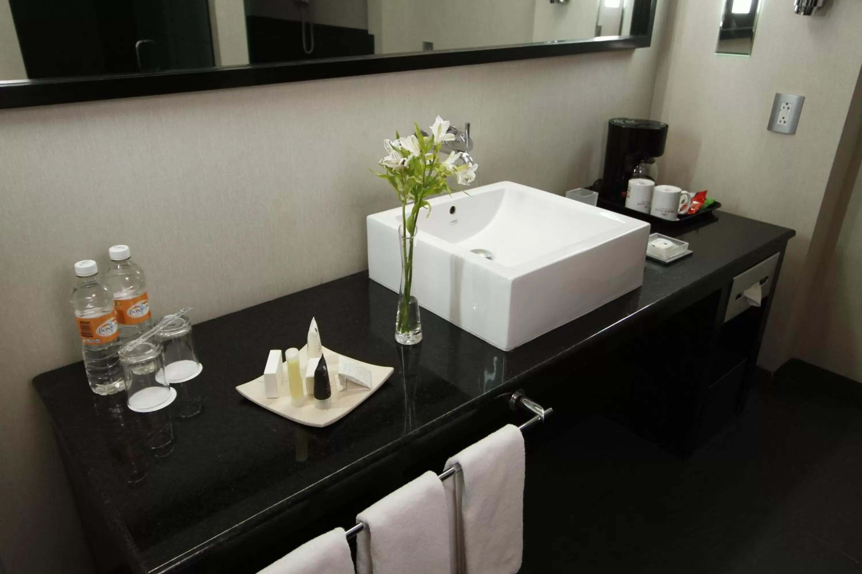Bathroom in Crowne Plaza Toluca - Lancaster, an IHG Hotel