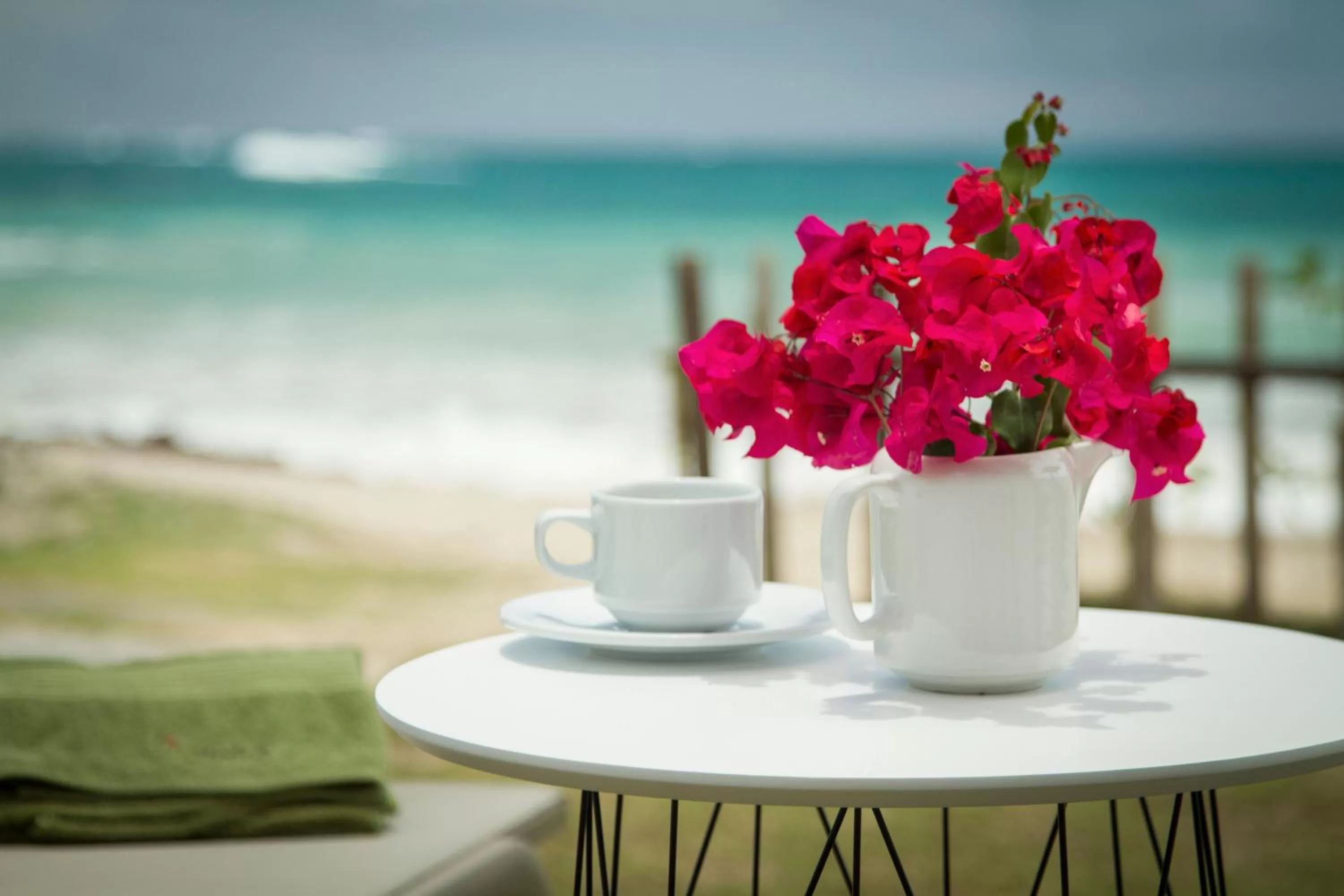 Patio in Casita de la Playa