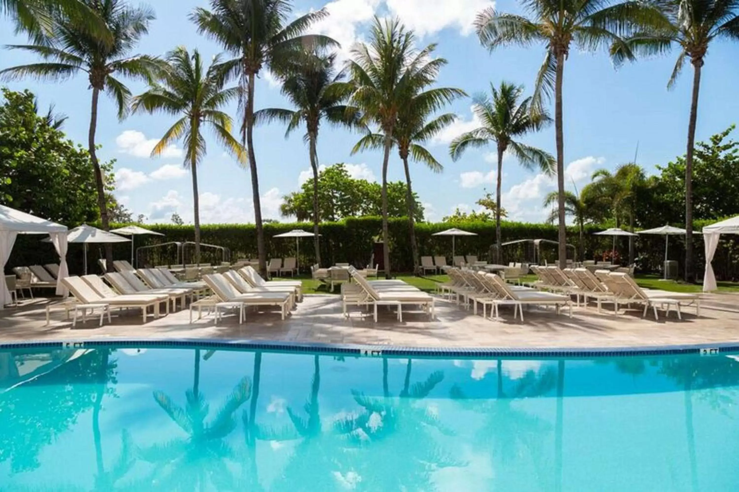 Pool view, Swimming Pool in Hilton Bentley Miami/South Beach