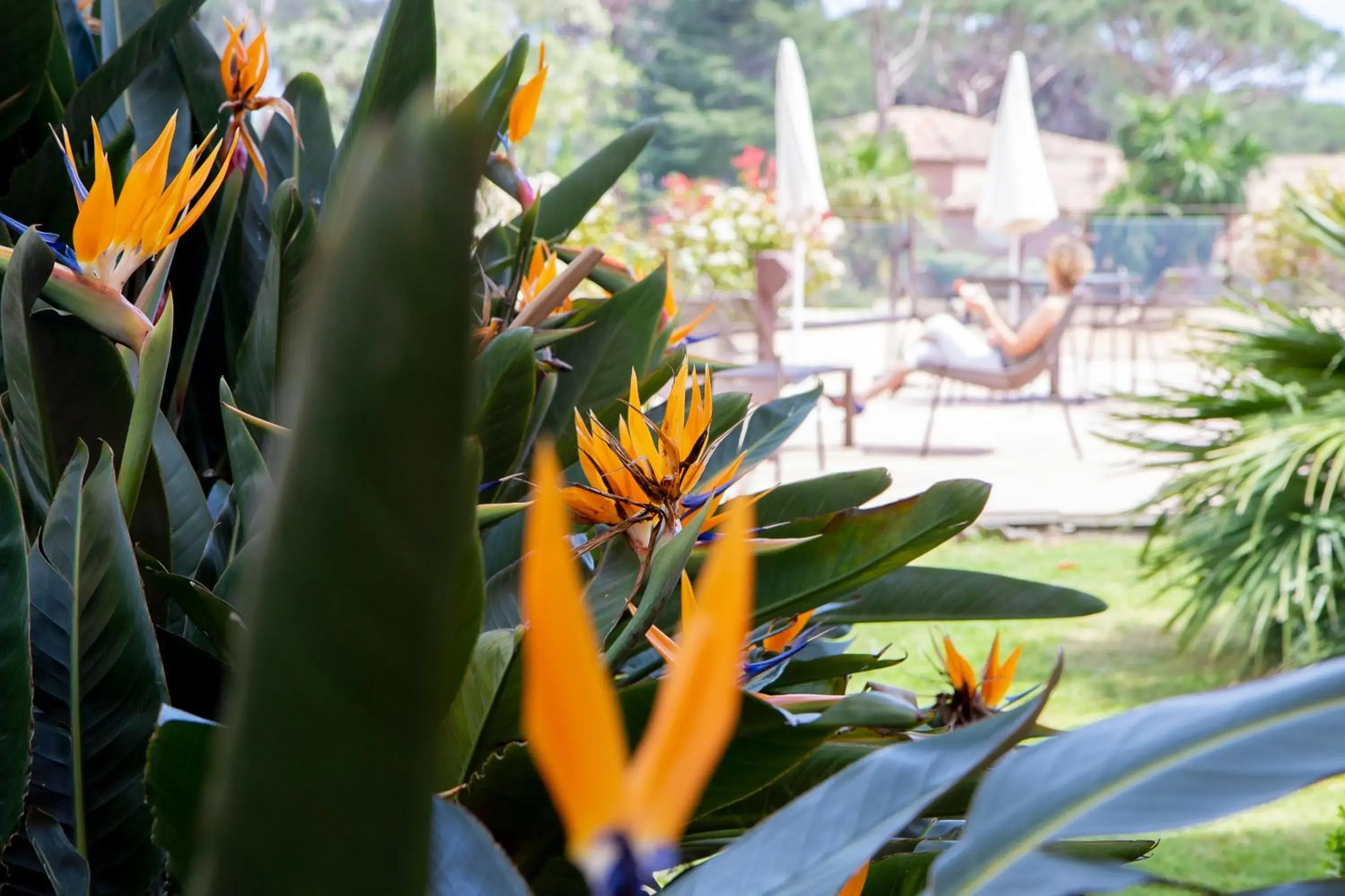 Patio in HÃ´tel Les Jardins De Sainte-Maxime