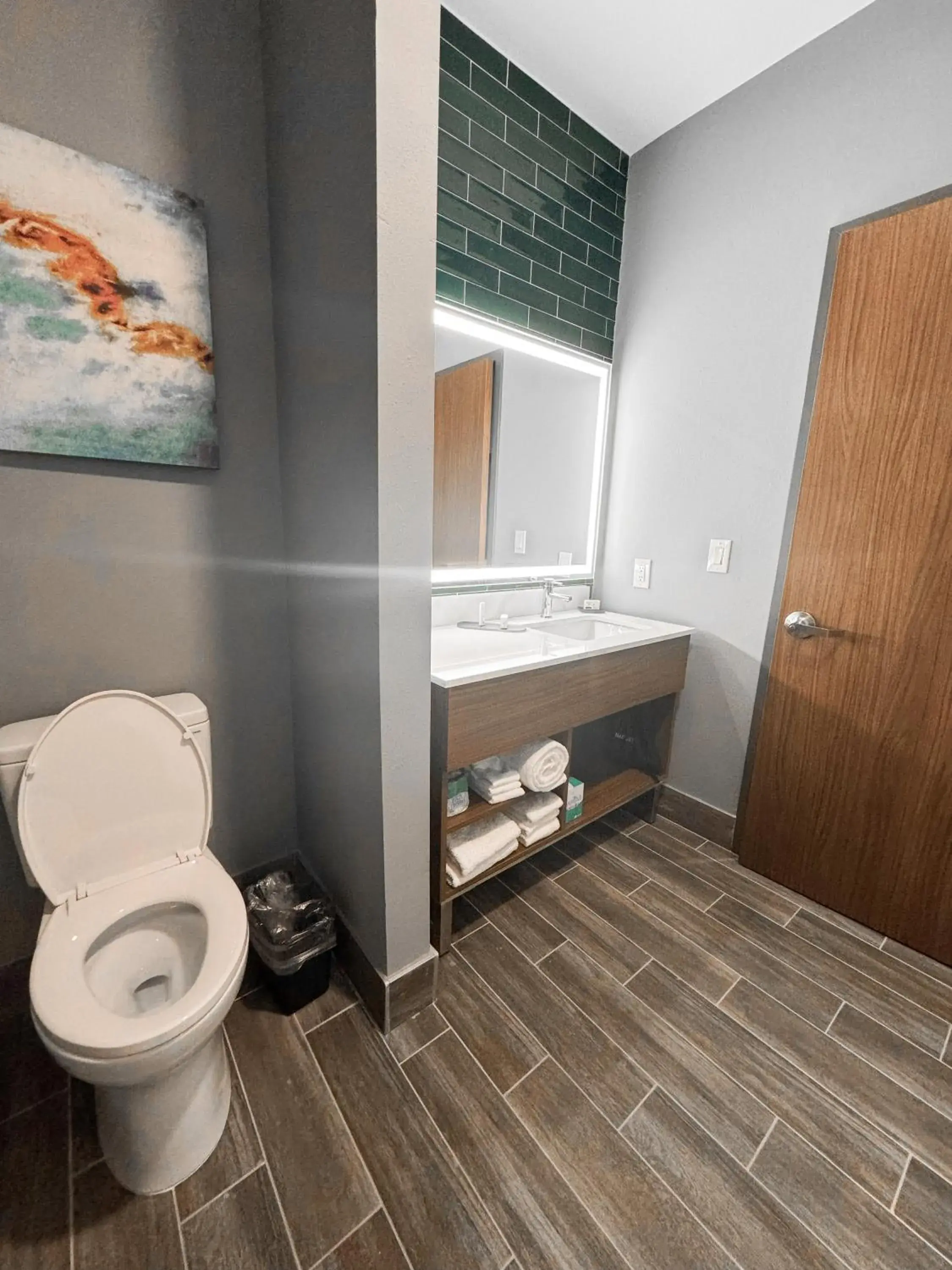 Toilet, Bathroom in La Quinta Inn & Suites by Wyndham Mount Laurel Moorestown