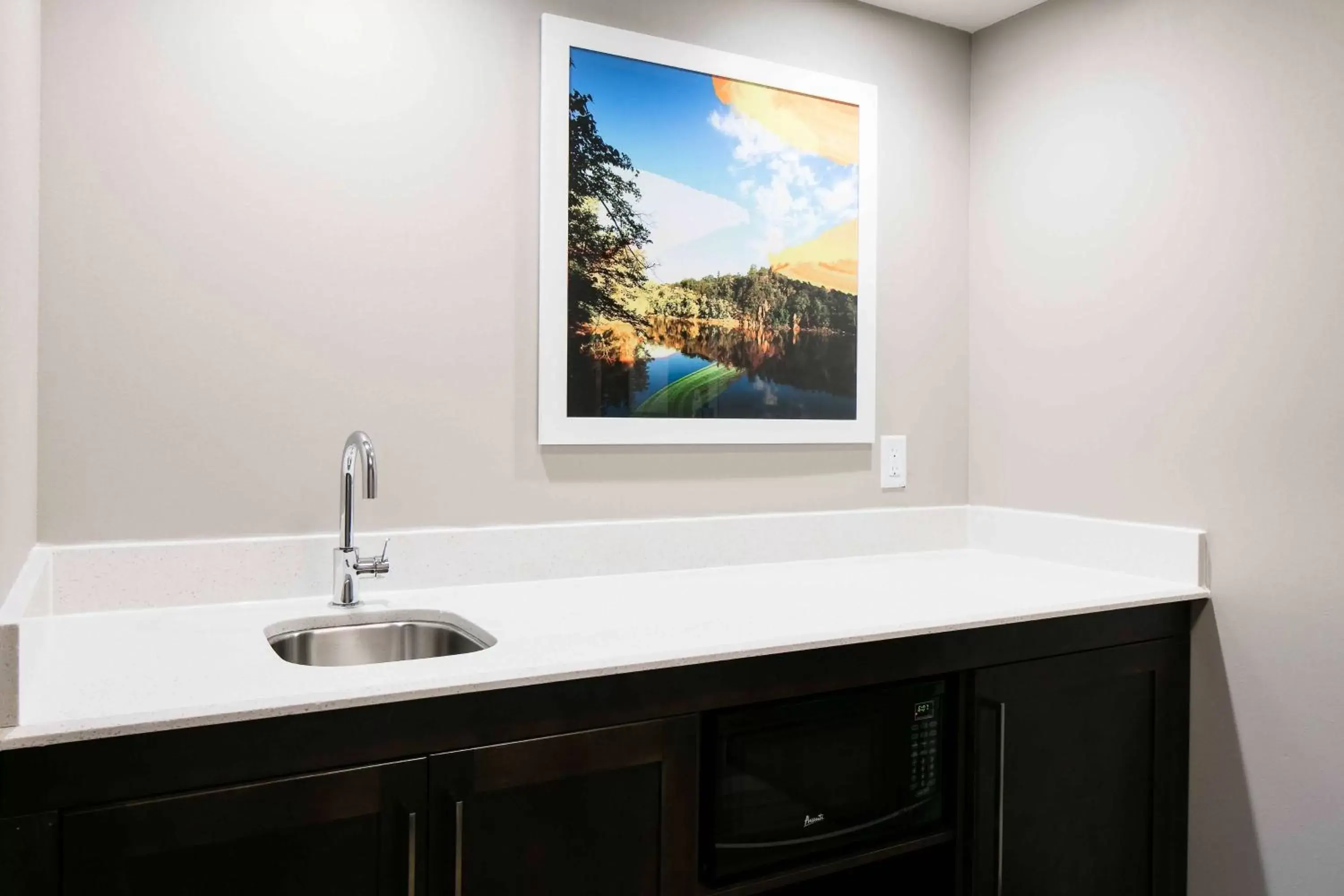 Kitchen or kitchenette, Bathroom in Hampton Inn & Suites-Hudson Wisconsin