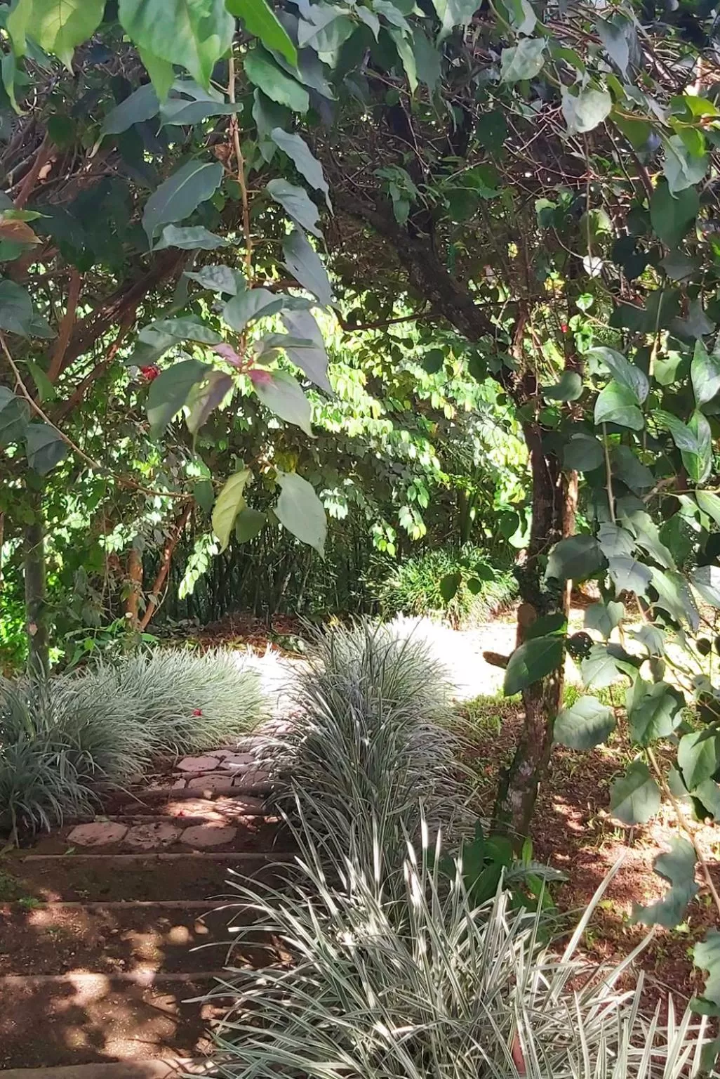 Natural landscape in Balsora Hotel Boutique