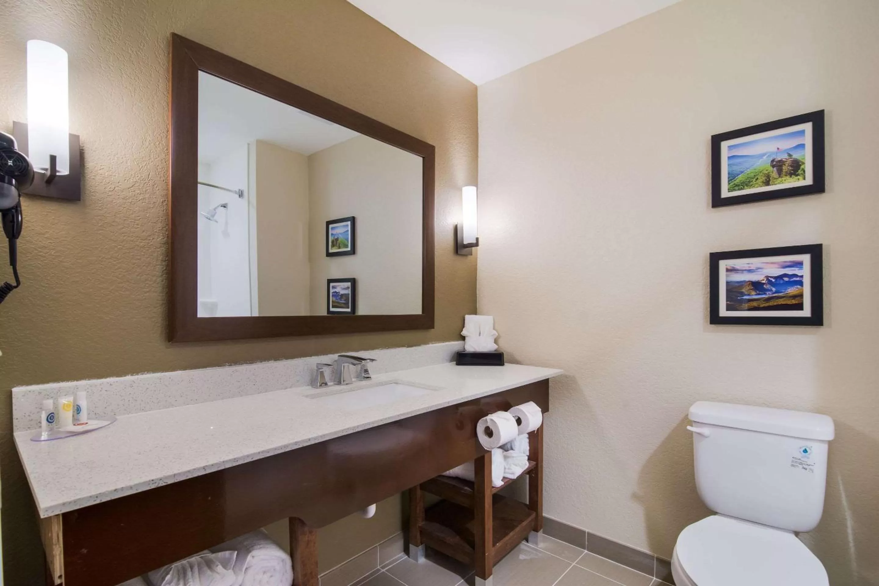 Bathroom in Comfort Inn & Suites Rock Hill Northeast