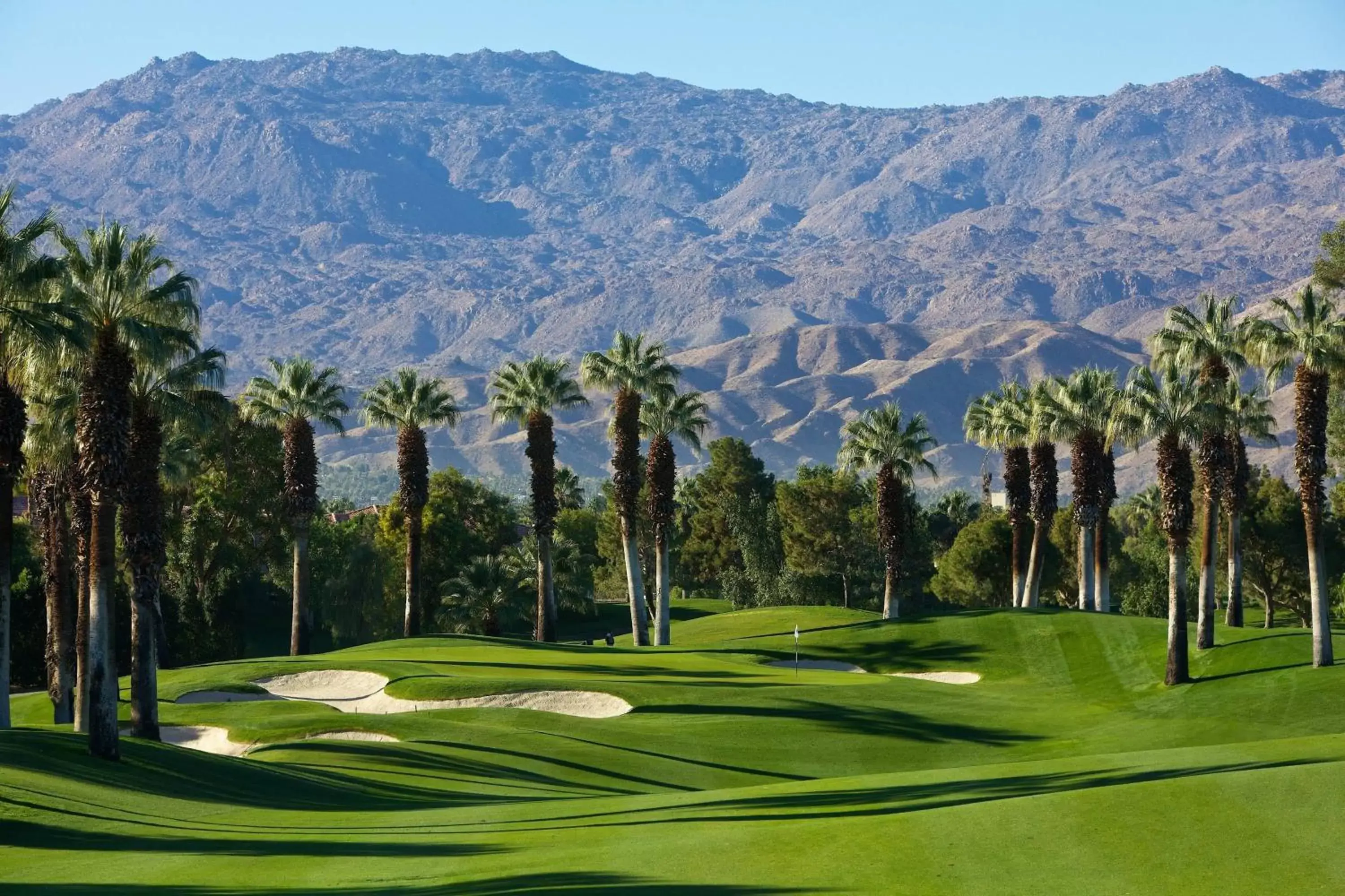 Golfcourse, Mountain View in JW Marriott Desert Springs Resort & Spa