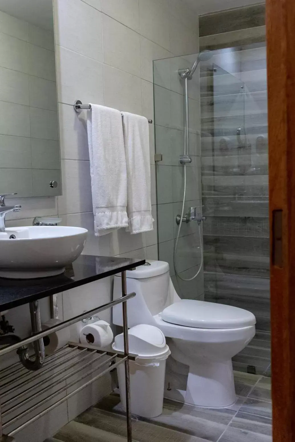 Shower, Bathroom in Hotel Aladino