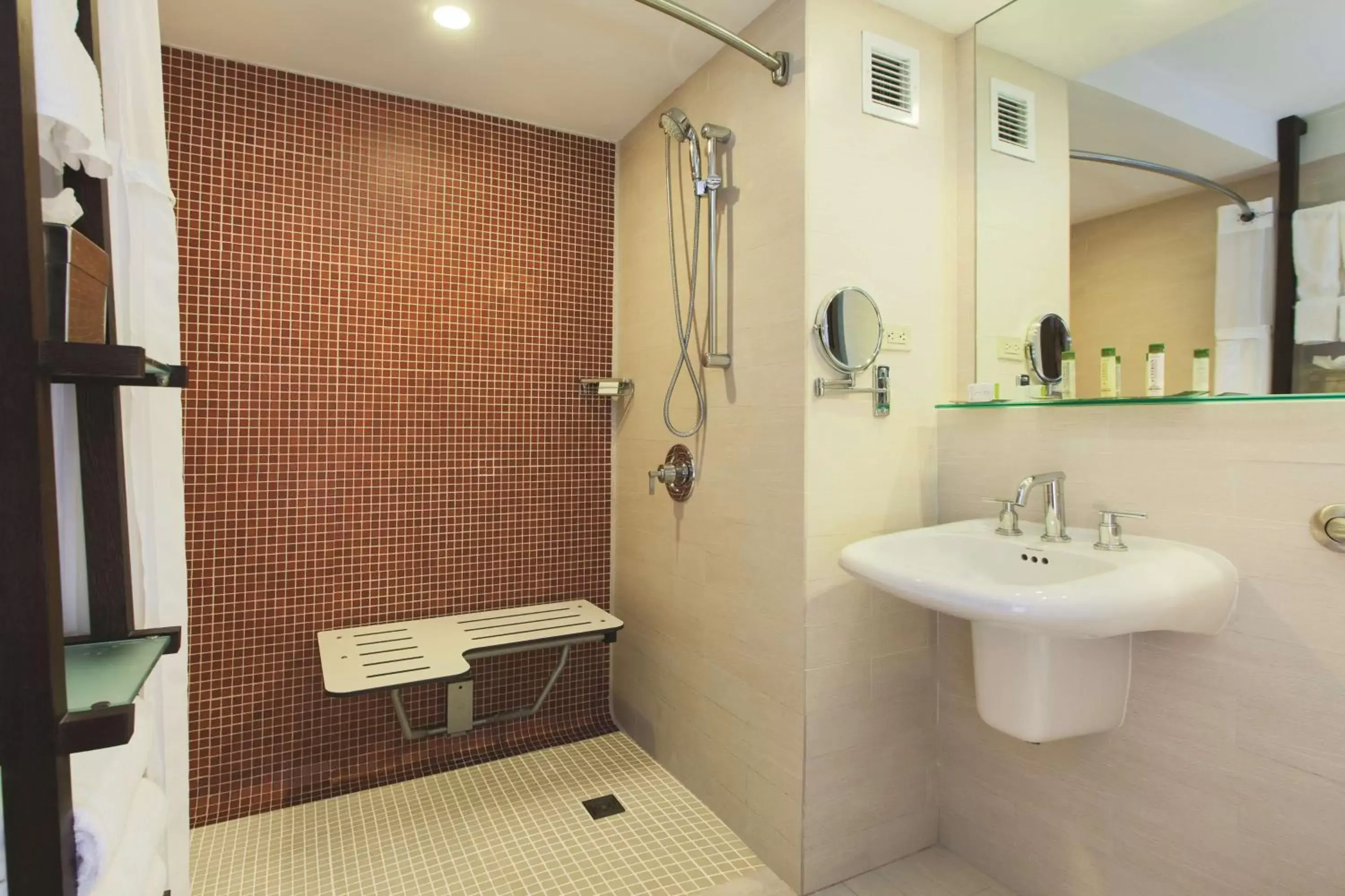 Bathroom in DoubleTree by Hilton San Juan
