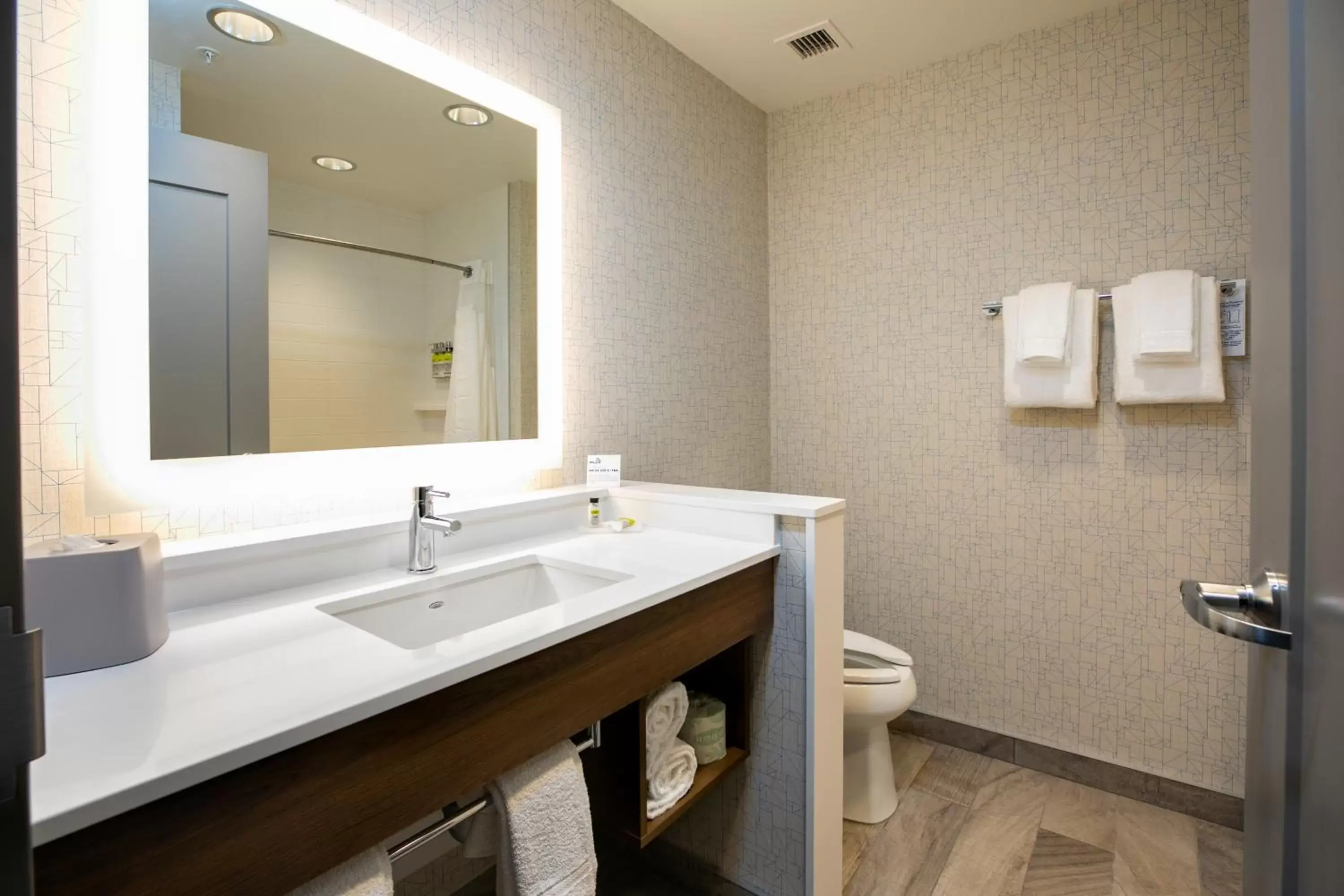 Bathroom in Holiday Inn Express - Lethbridge Southeast, an IHG Hotel