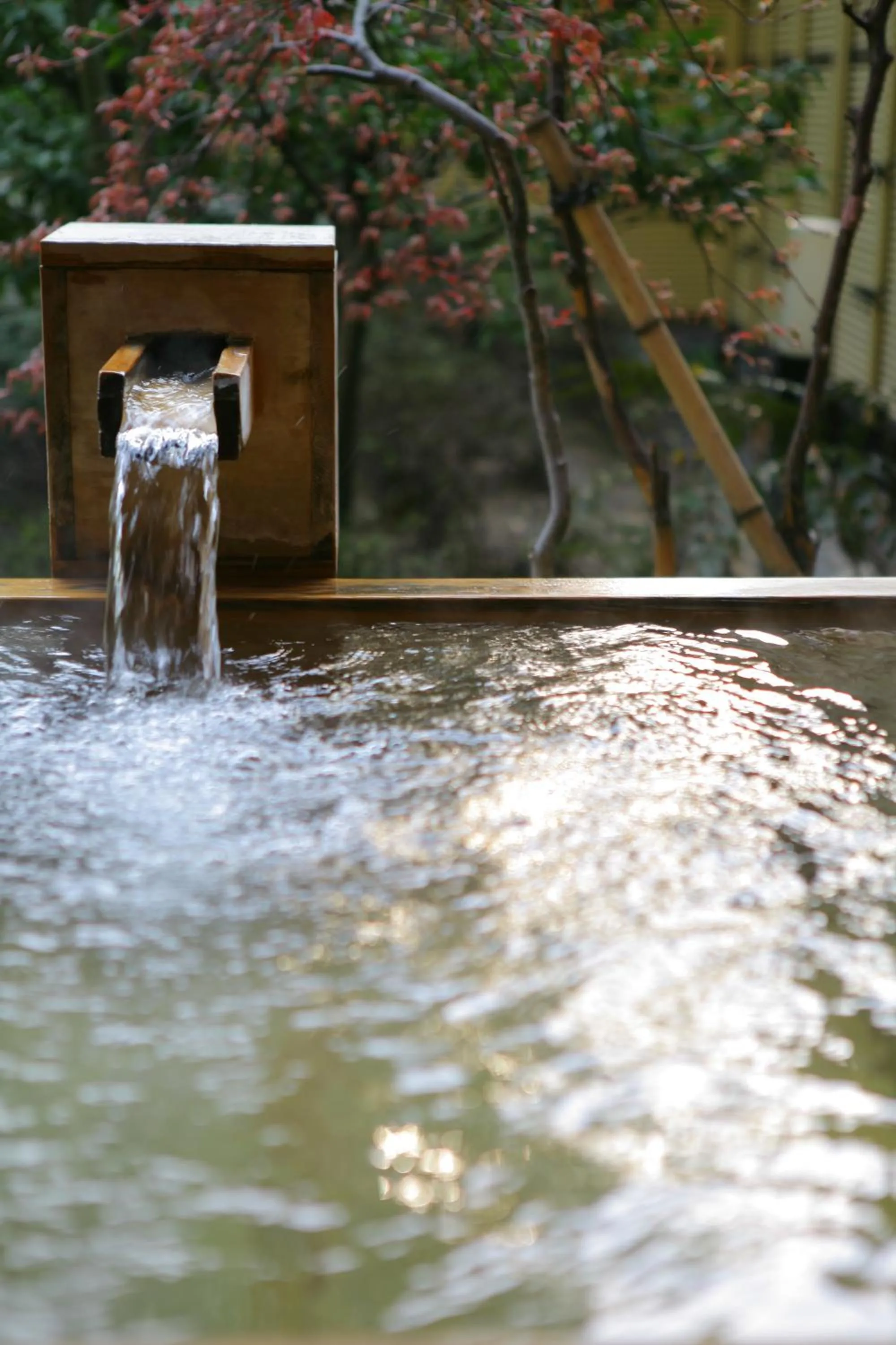 Photo of the whole room in Grandia Housen