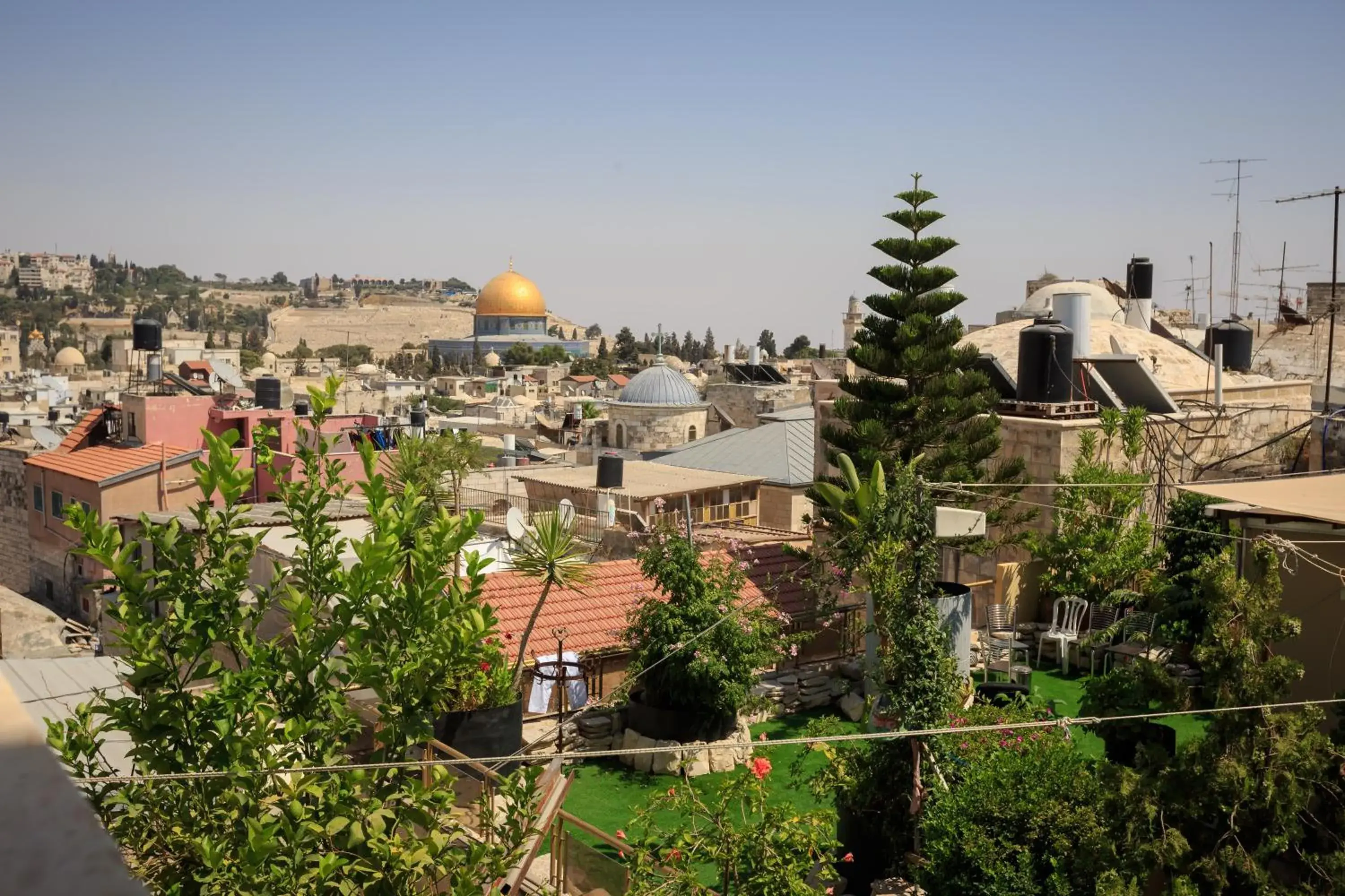 Garden view in Hashimi Hotel