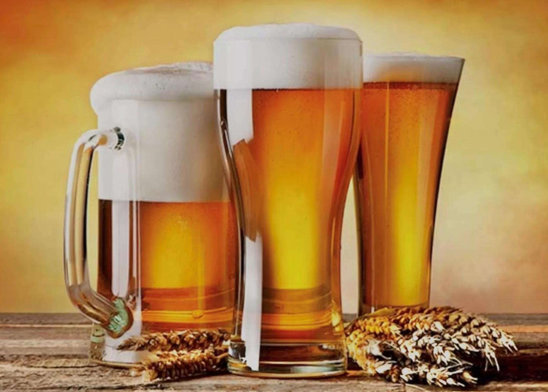 Lounge or bar in Ashton Court Hotel