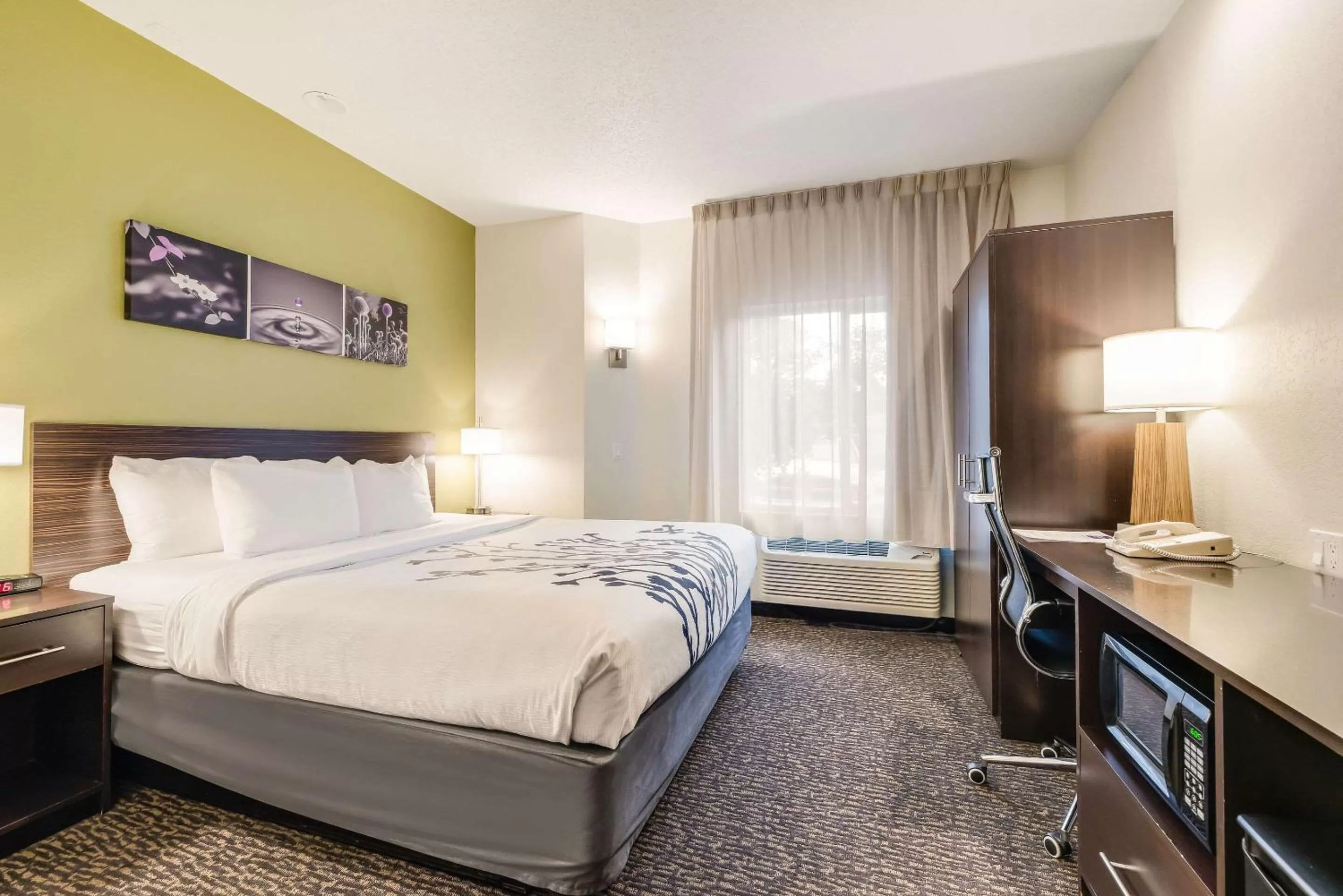 Photo of the whole room, Bed in Sleep Inn Flagstaff