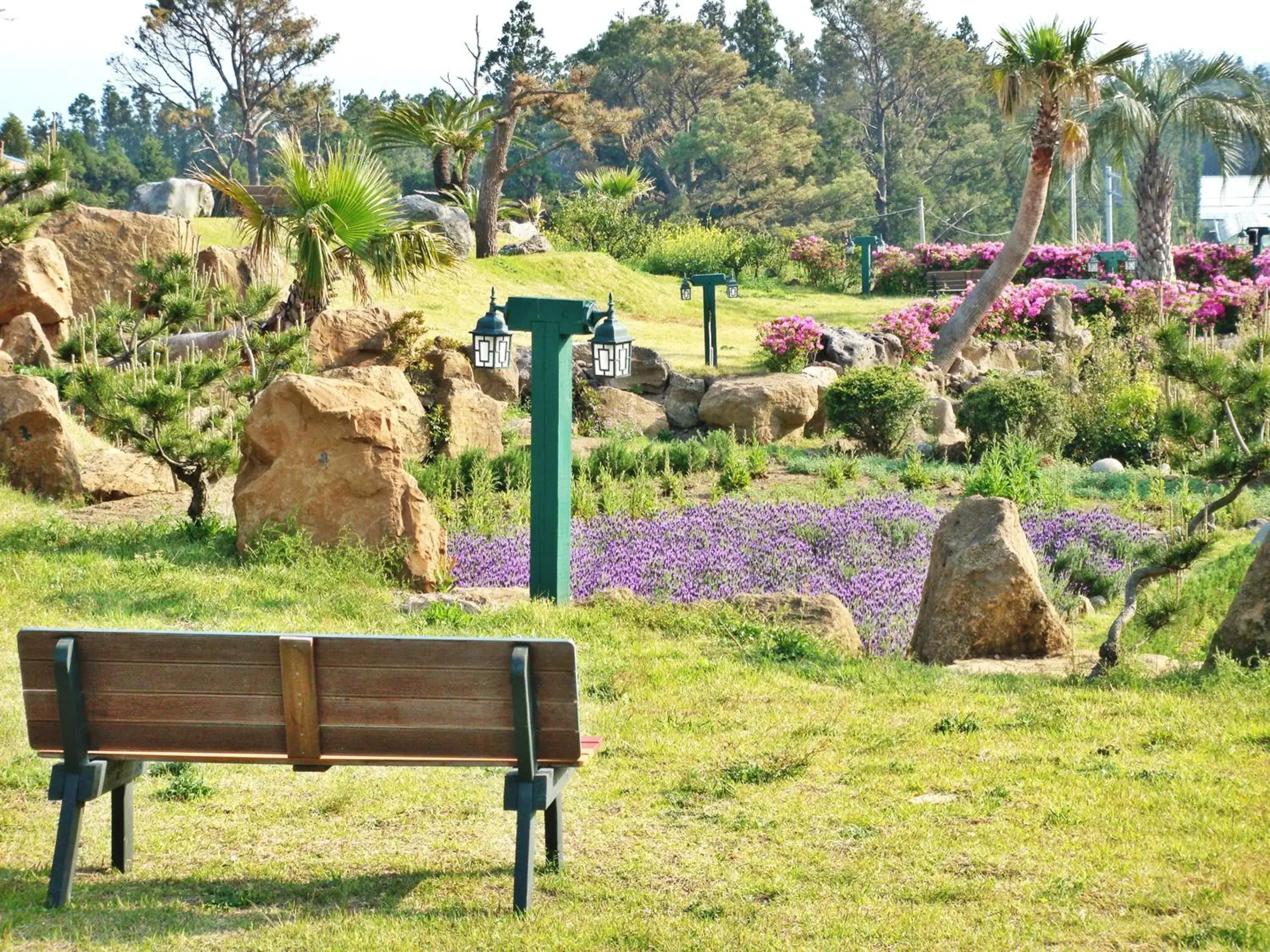 View (from property/room) in Jungmun Log Pension & Resort View (from property/room) in Jungmun Log Pension & Resort