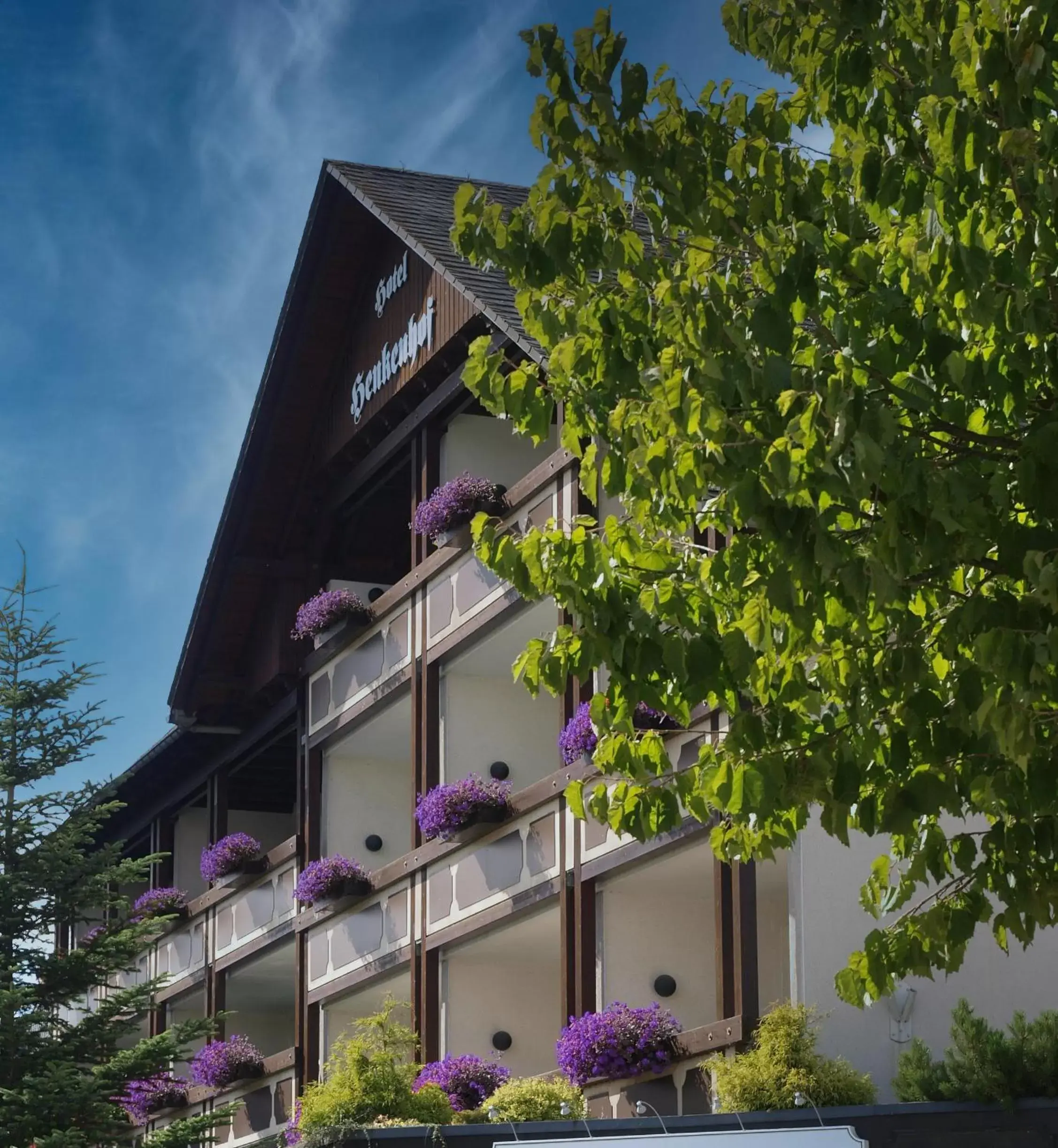 Landhotel Henkenhof Willingen Landhotel Henkenhof Willingen