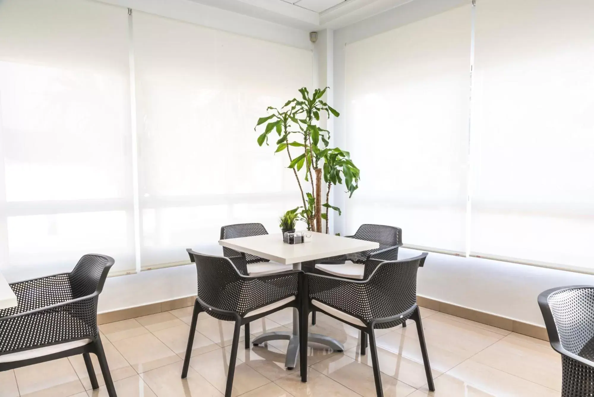 Lounge or bar, Dining Area in Hotel Cristina