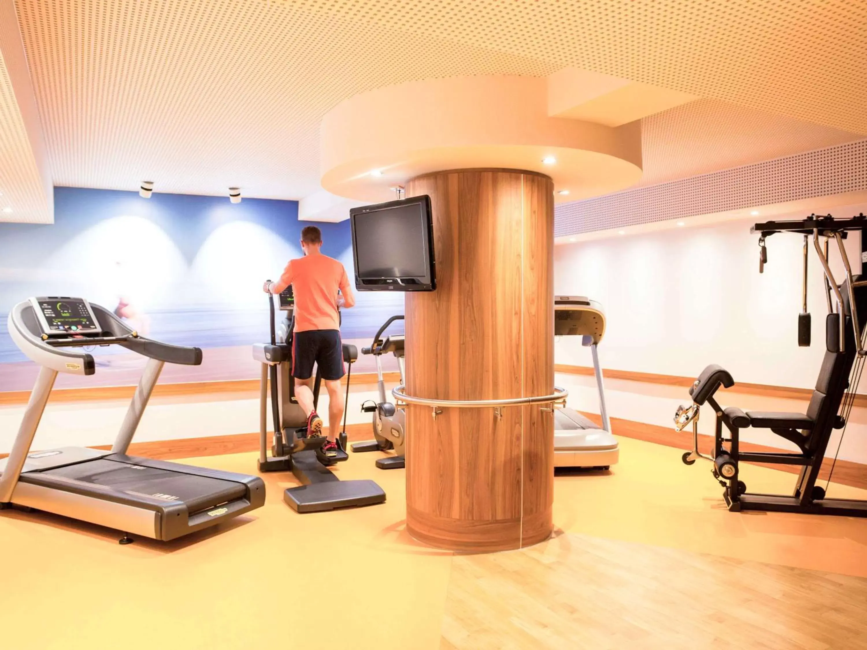 Fitness centre/facilities, Fitness Center/Facilities in Novotel Erlangen