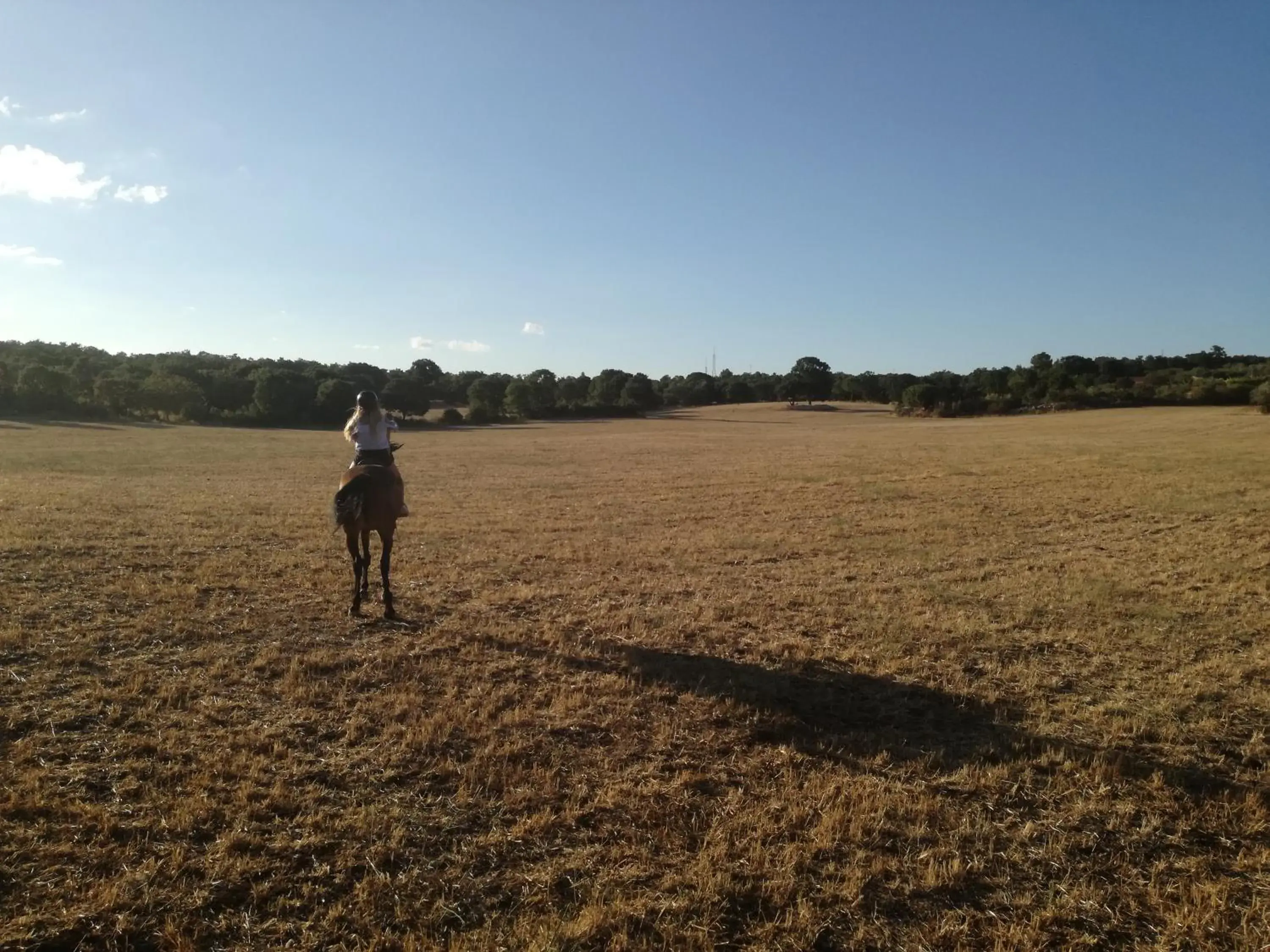 Horse-riding in Agriturismo Fasano