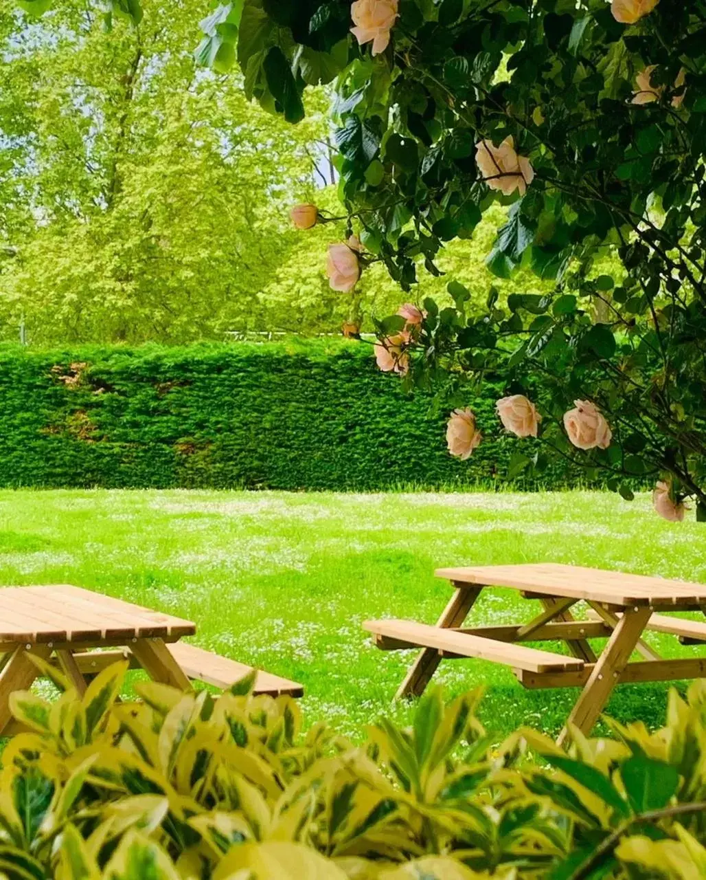 Patio, Garden in The Originals Access, Hôtel Innostar