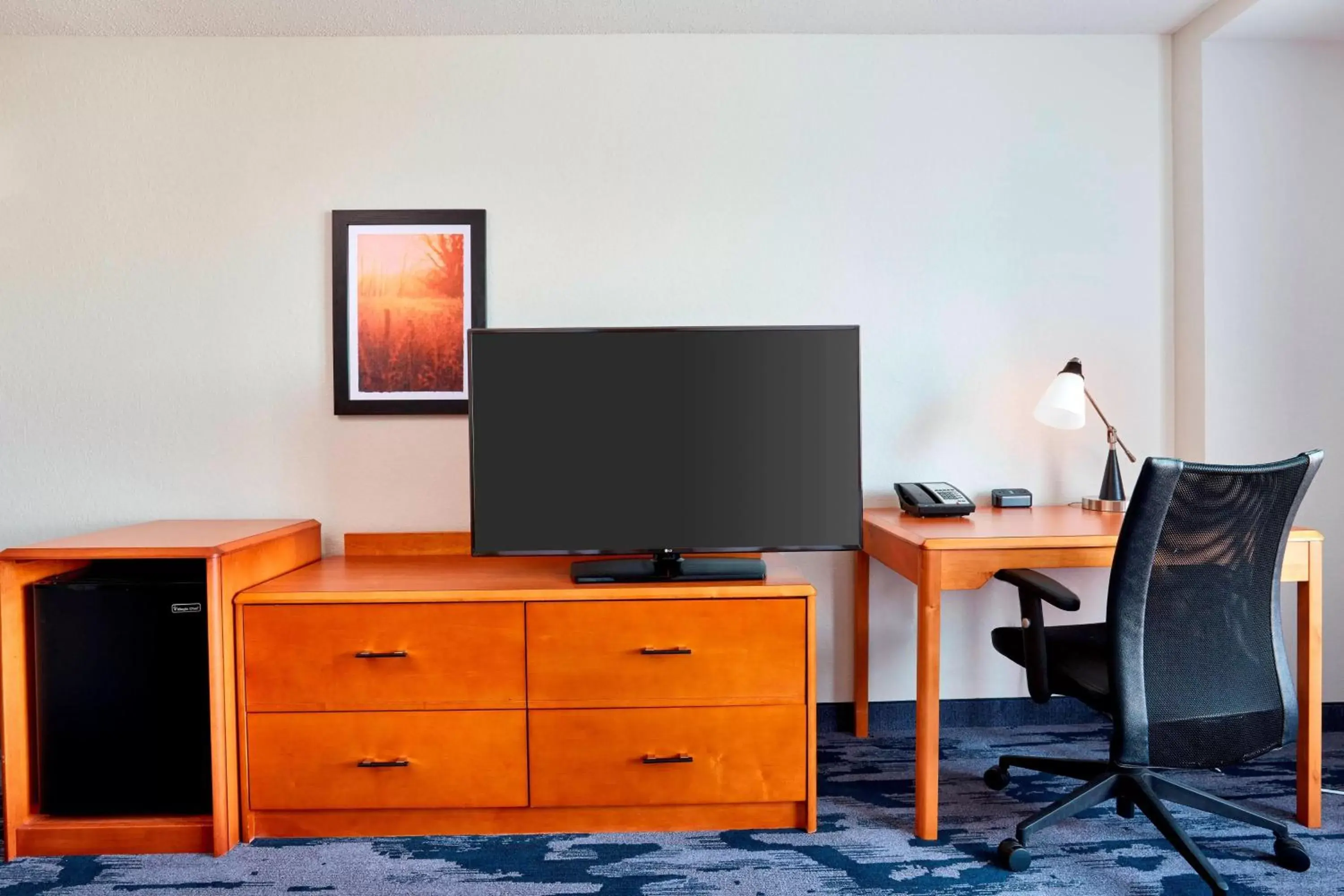 Photo of the whole room, TV/Entertainment Center in Fairfield Inn Suites Indianapolis Downtown