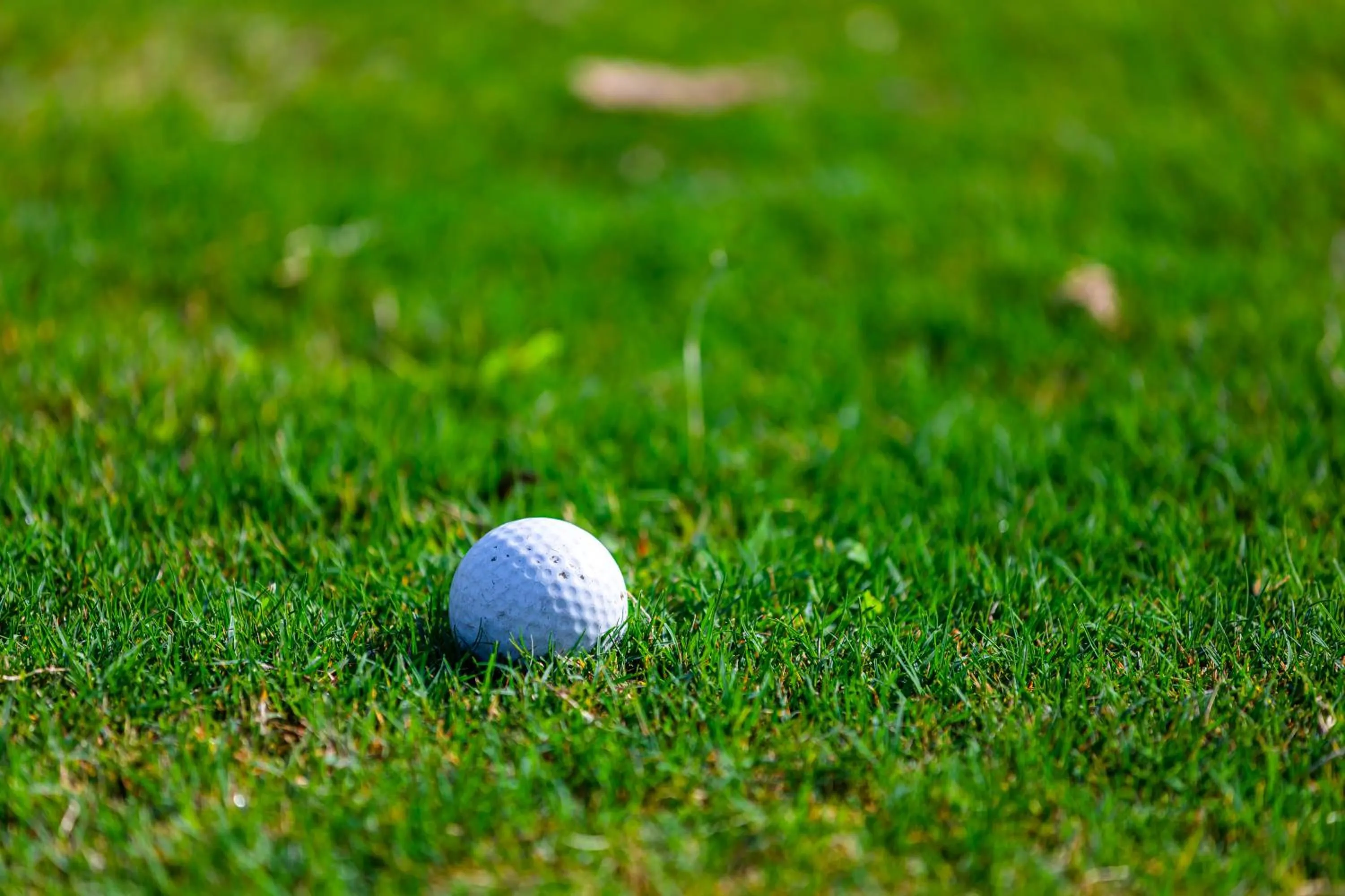 Golfcourse in Your World International Conference Centre Hotel