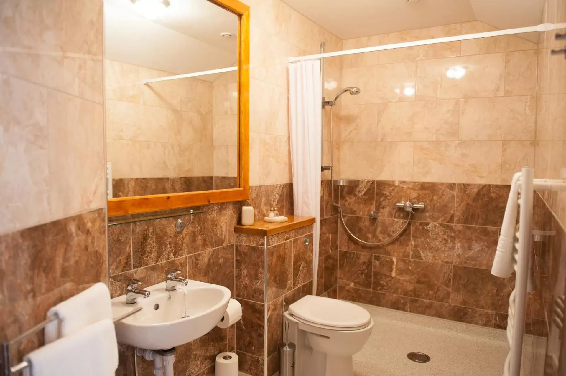 Shower, Bathroom in The Little Crown Inn