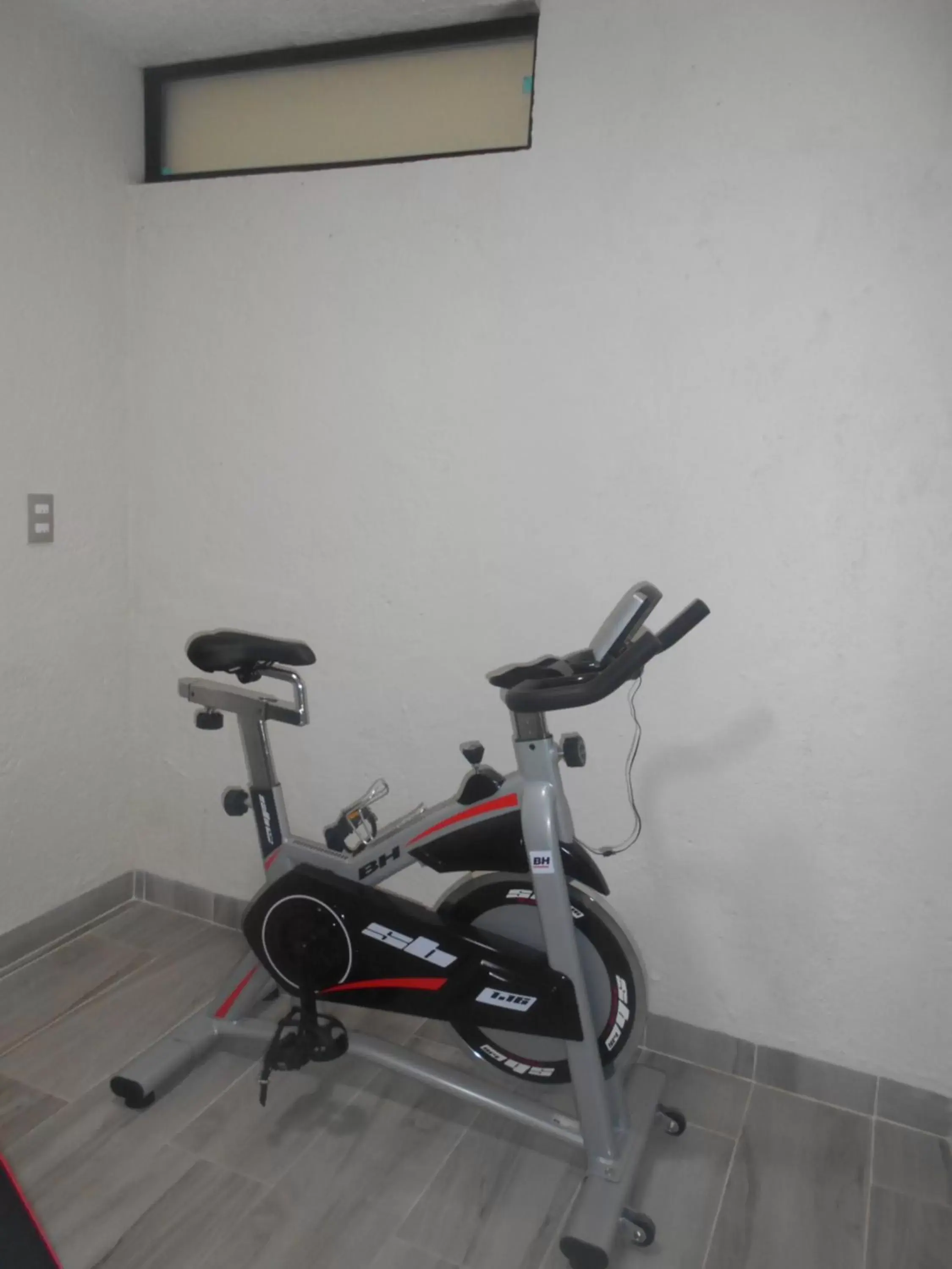 Fitness centre/facilities, Fitness Center/Facilities in Hotel Puente Real