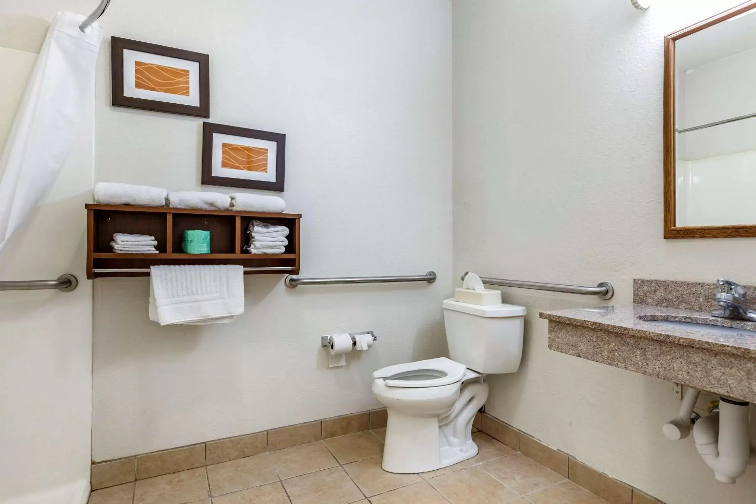 Bathroom in Comfort Inn Downtown - University Area