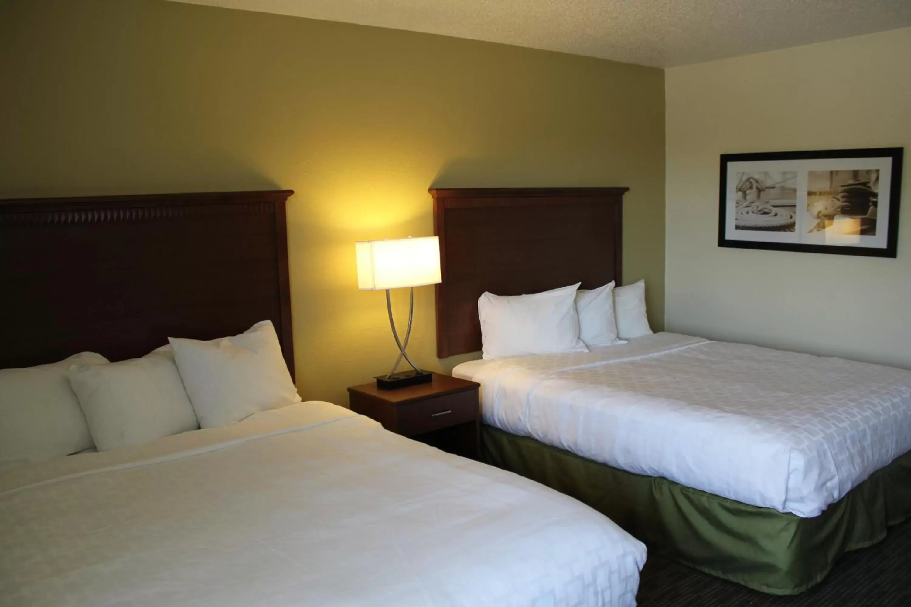 Bed in Nichols Inn & Suites