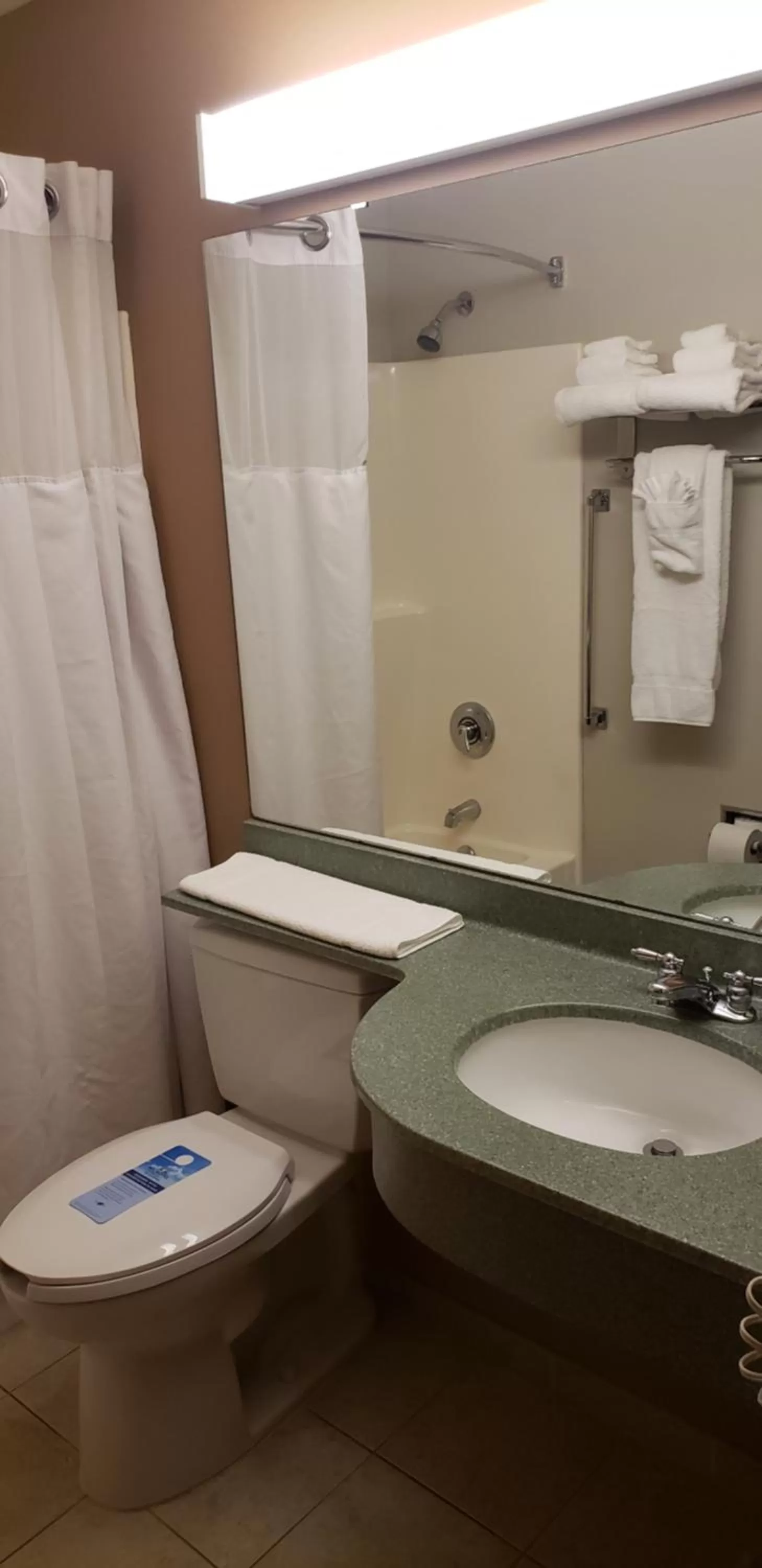 Toilet in York Microtel Inn & Suites by Wyndham