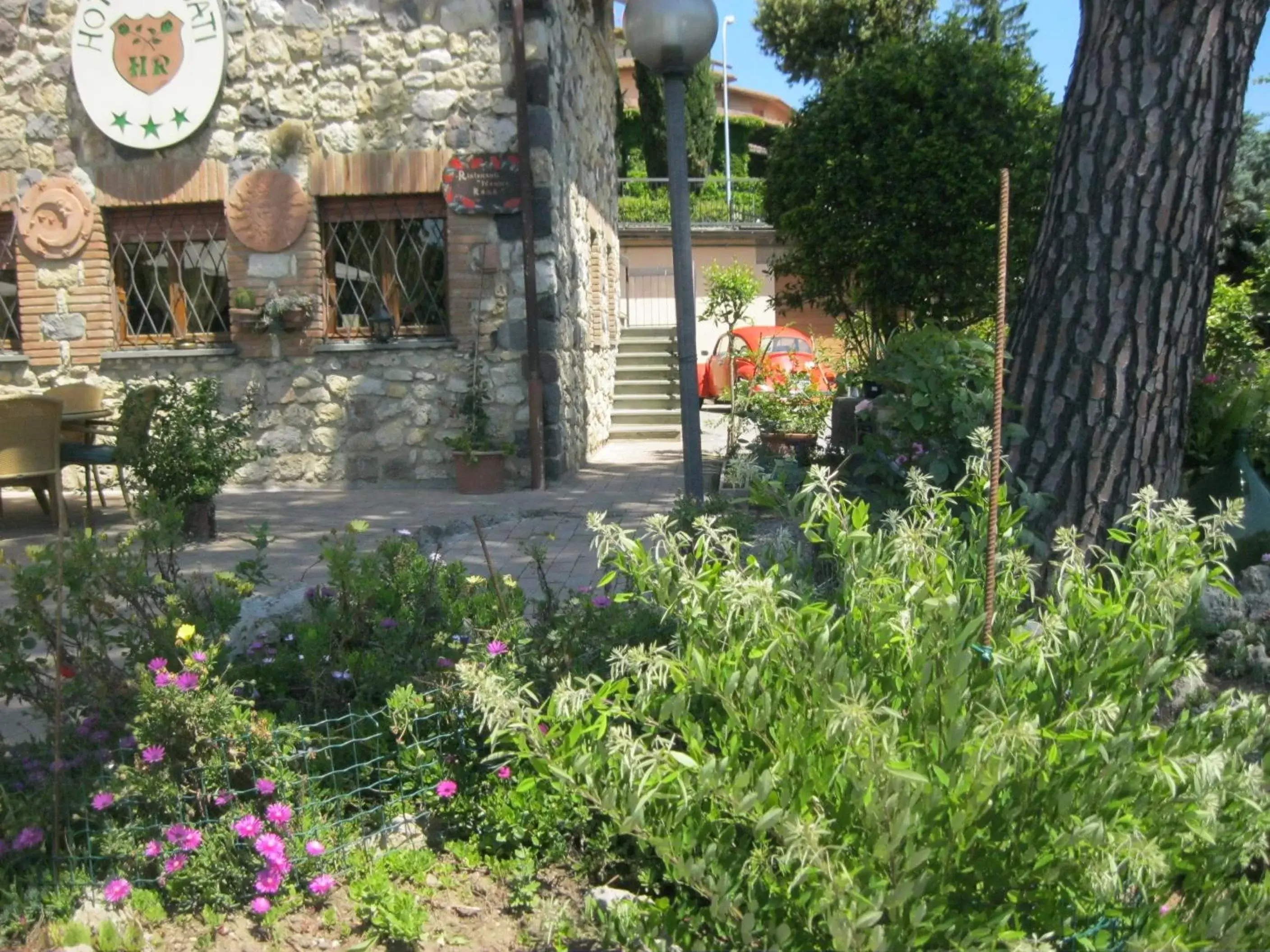 Garden in Hotel Rosati