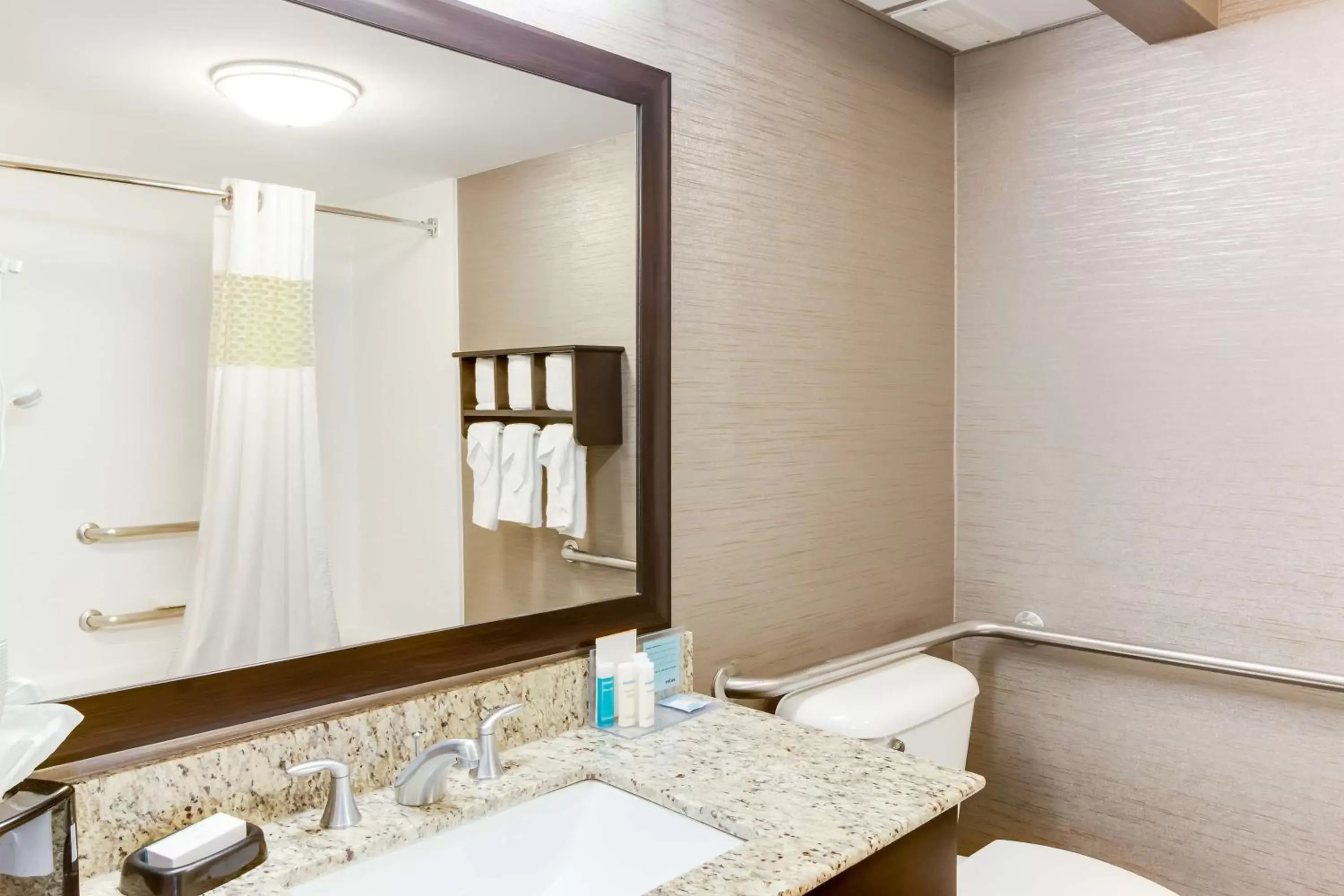 Bed, Bathroom in Hampton Inn Bellevue/Nashville I-40 West