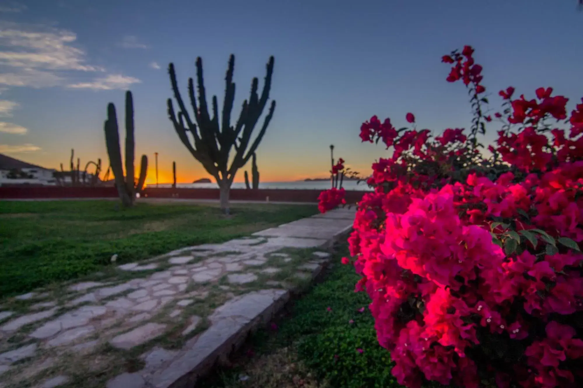 Natural landscape in Hotel Playa de Cortes