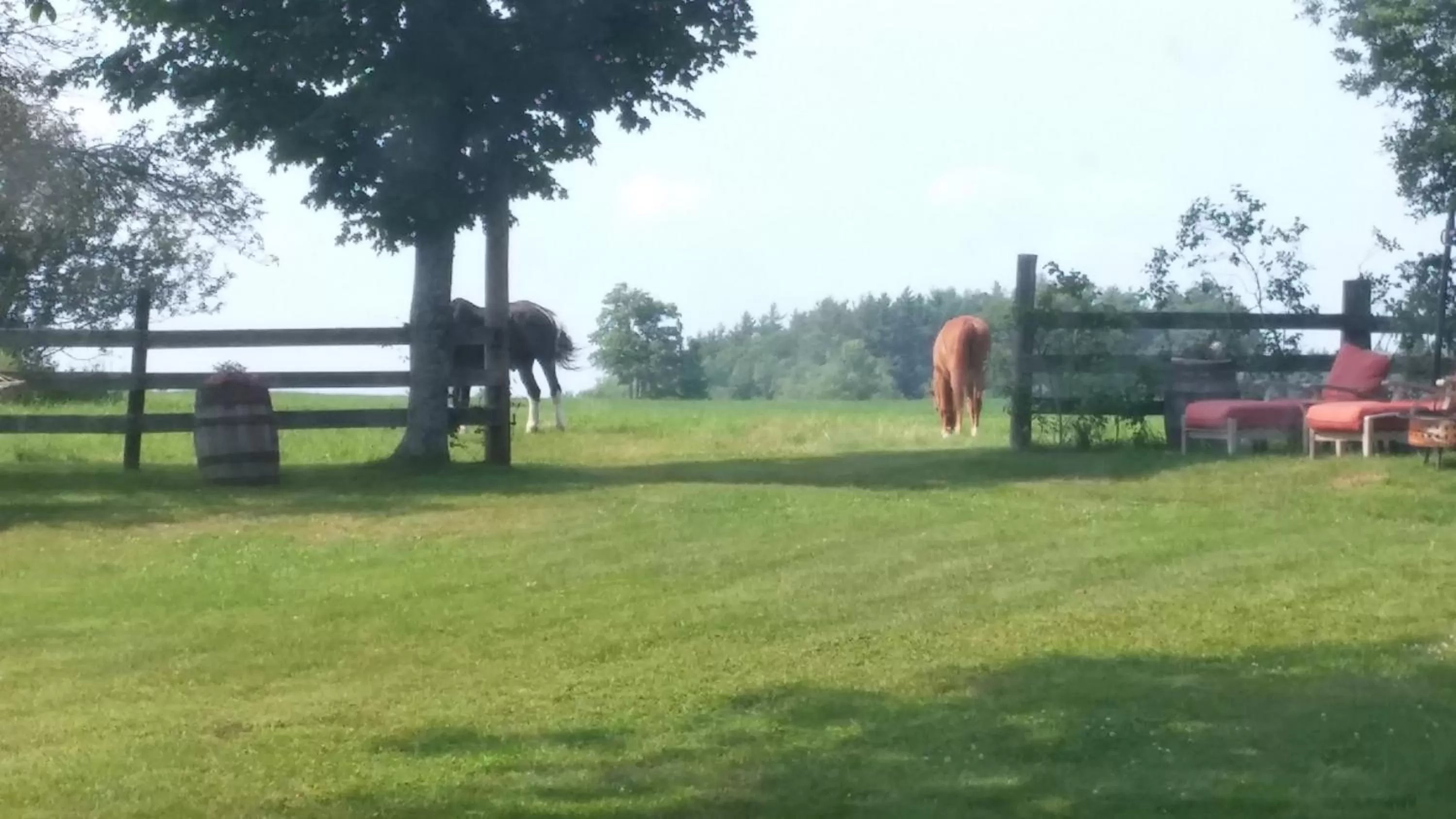 View (from property/room), Garden in Benjamin Prescott Inn