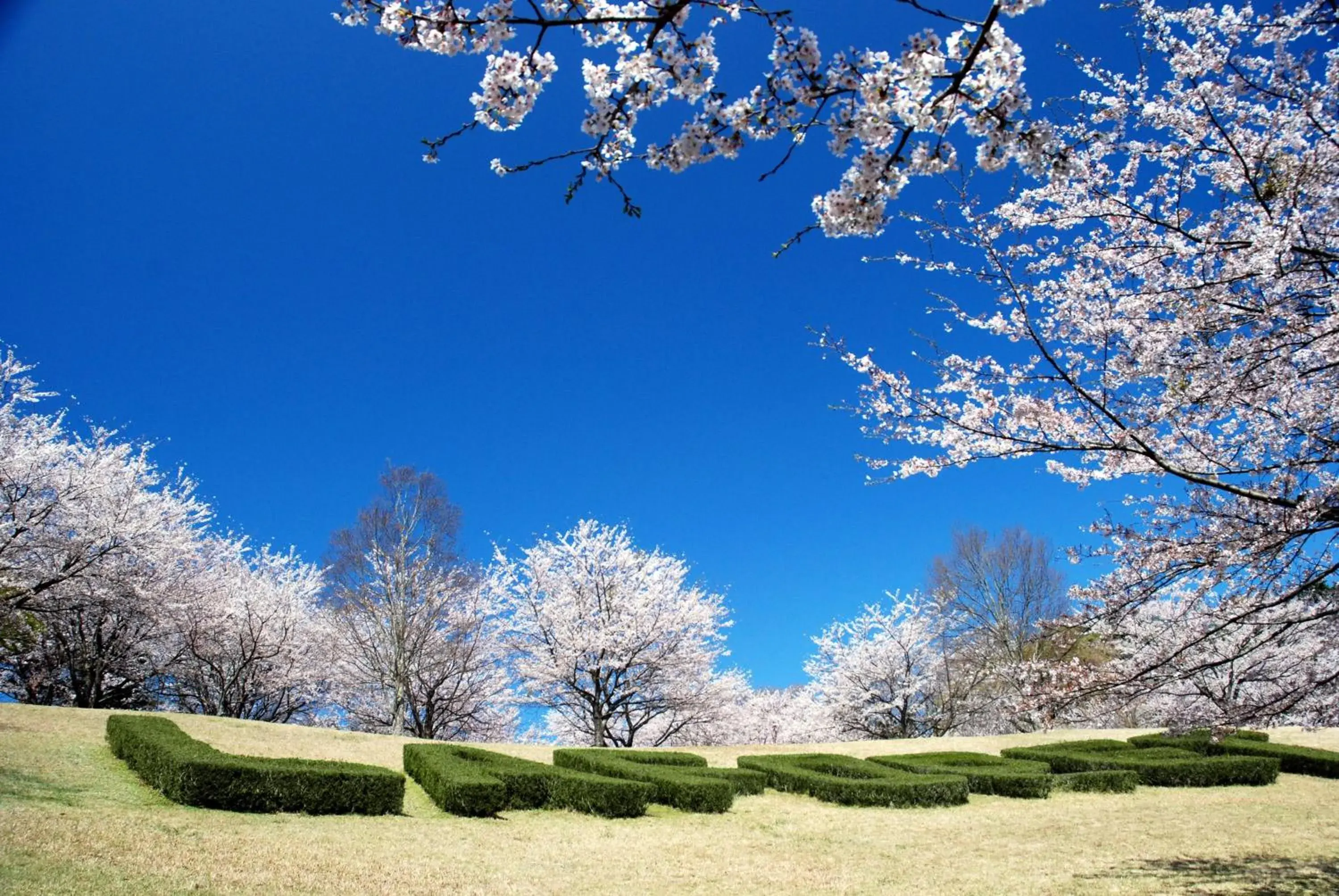 Facade/entrance in Hotel Laforet Shuzenji Facade/entrance in Hotel Laforet Shuzenji