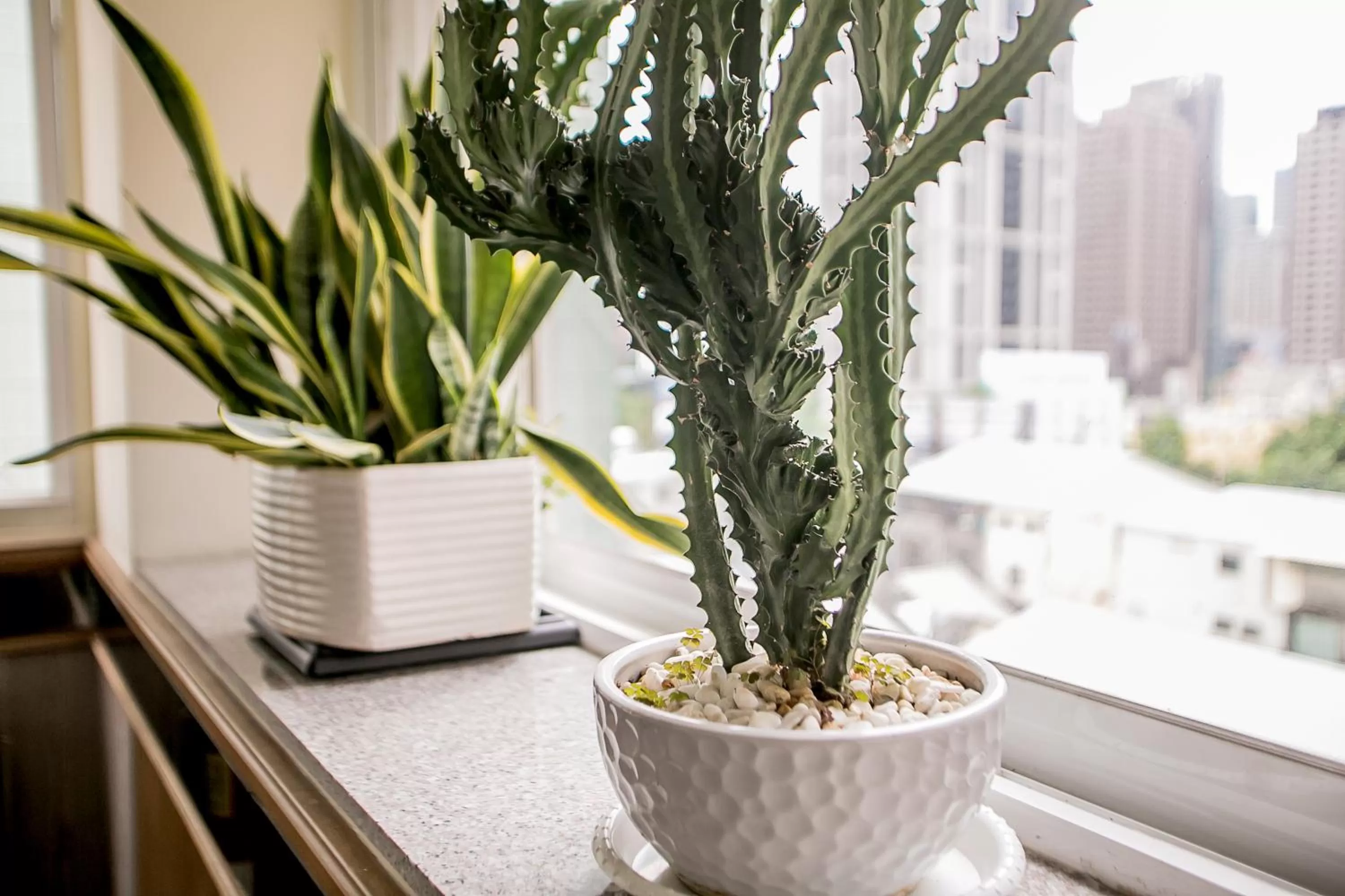 Other in Huang Shin Business Hotel-Shang An