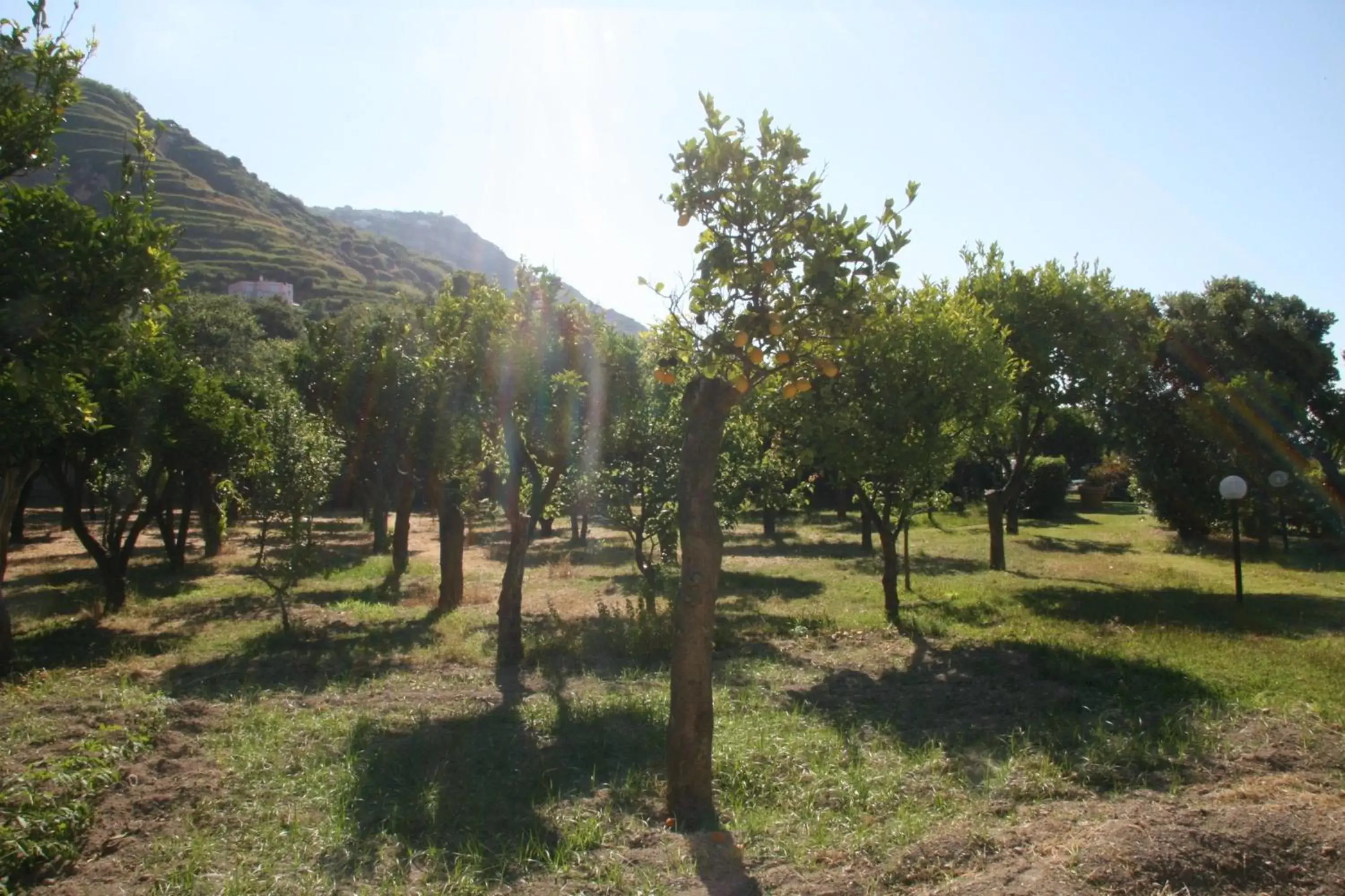 Garden in Tenuta Villa Tara