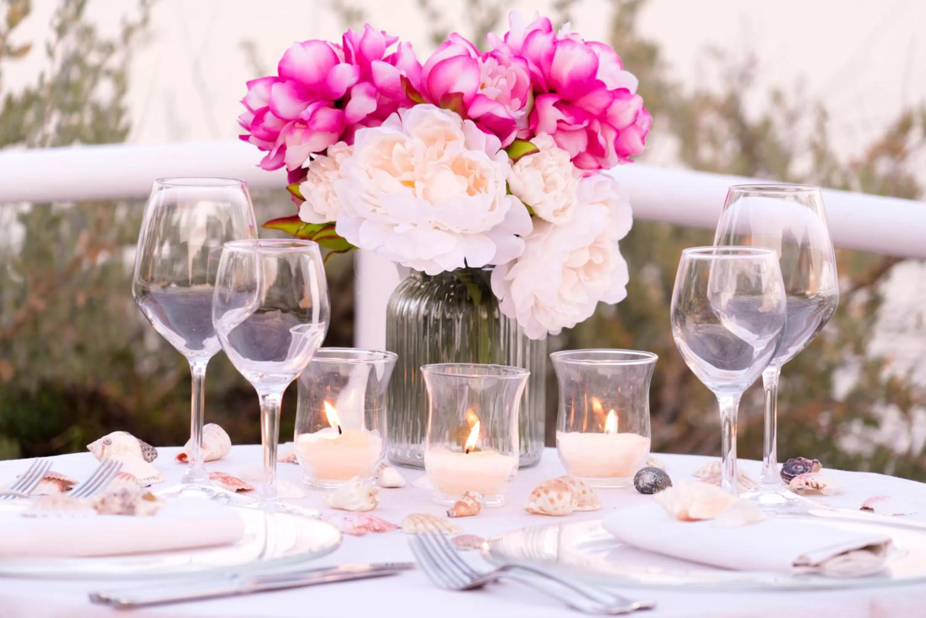 Dinner in Hotel Dei Pini