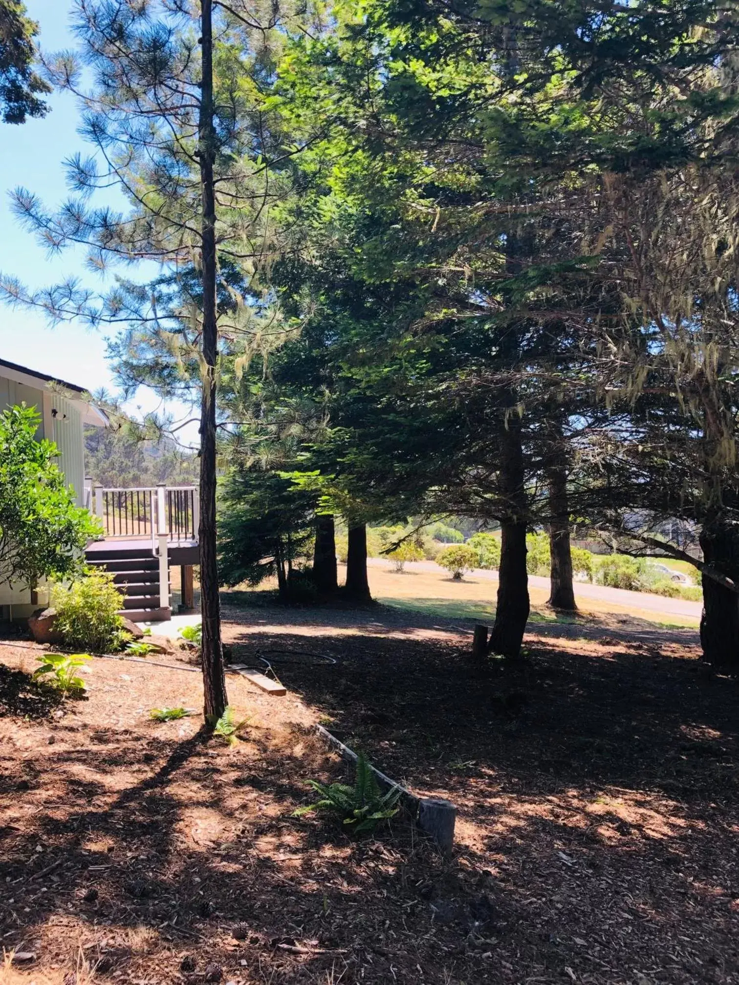 Garden in Seafoam Lodge