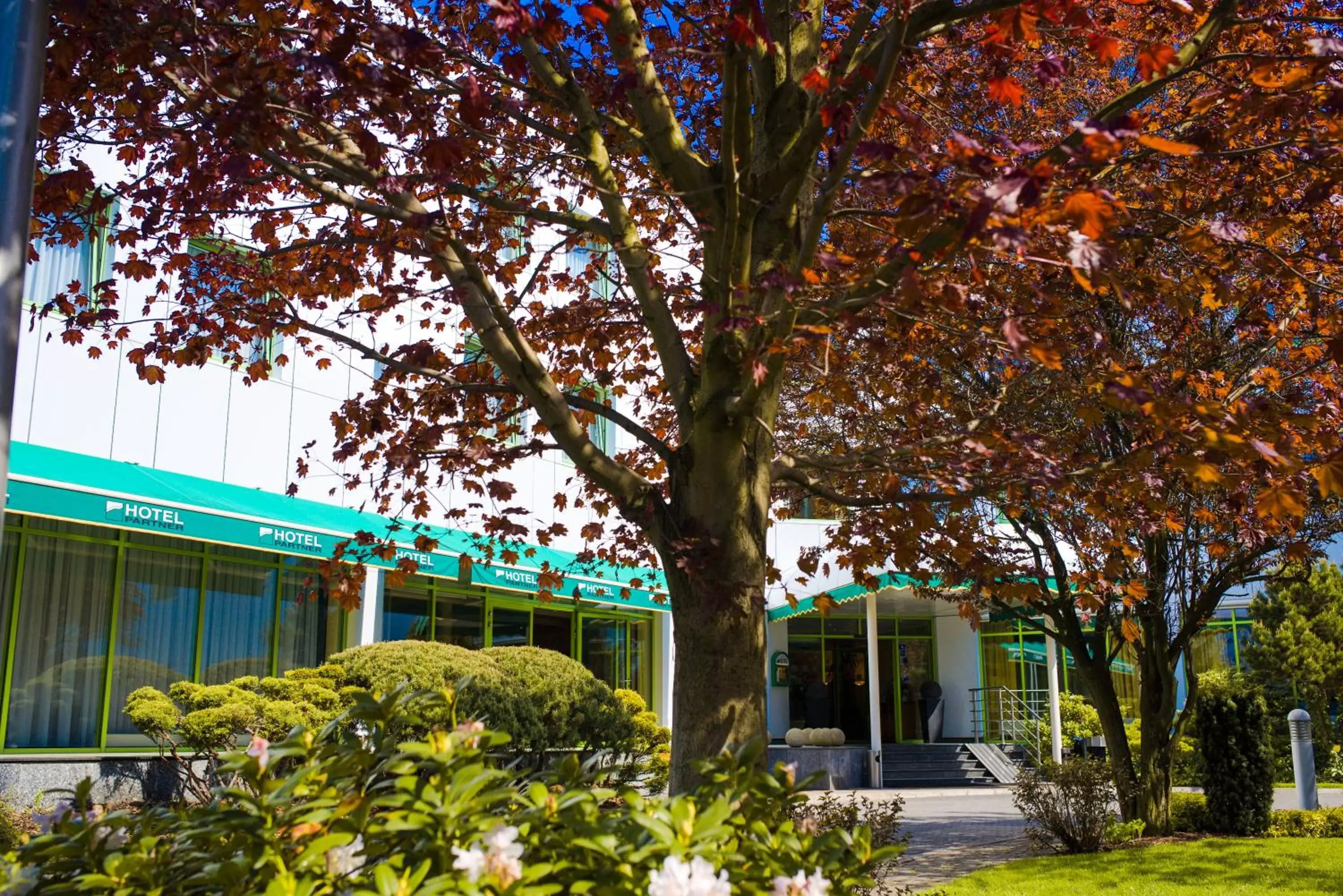 Facade/entrance in Hotel Partner Facade/entrance in Hotel Partner