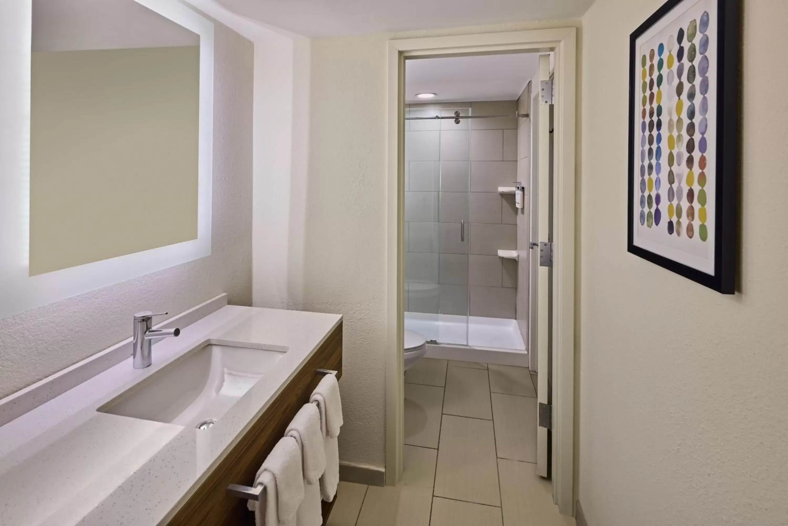 Bathroom in Holiday Inn Express & Suites Charleston DWTN -Westedge, an IHG Hotel