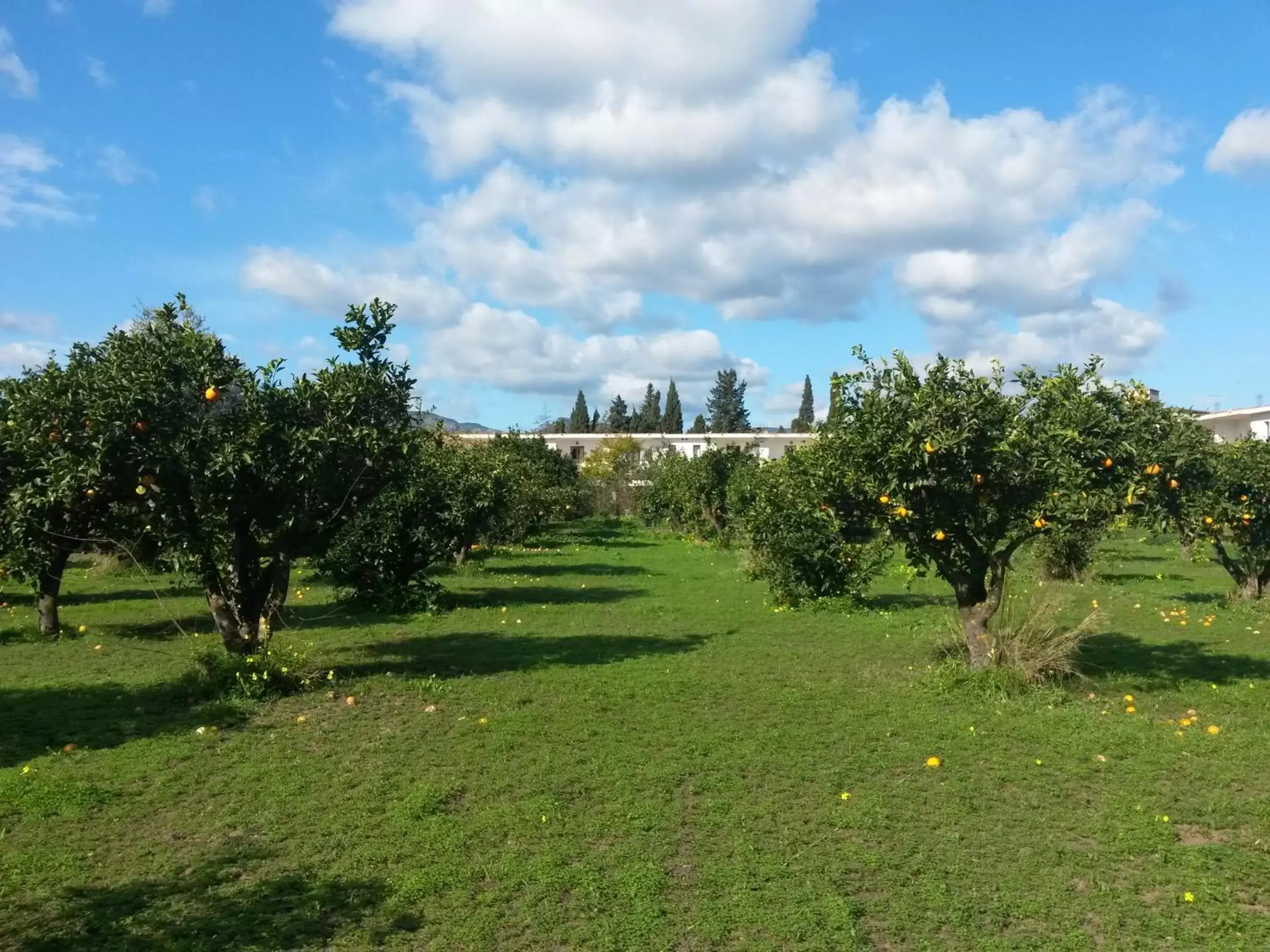 Property building, Garden in Hotel Domu Incantada